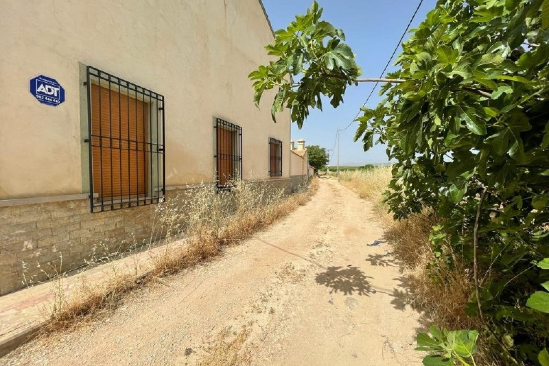 Reventa - Farm Land - Murcia - Murcia Centro