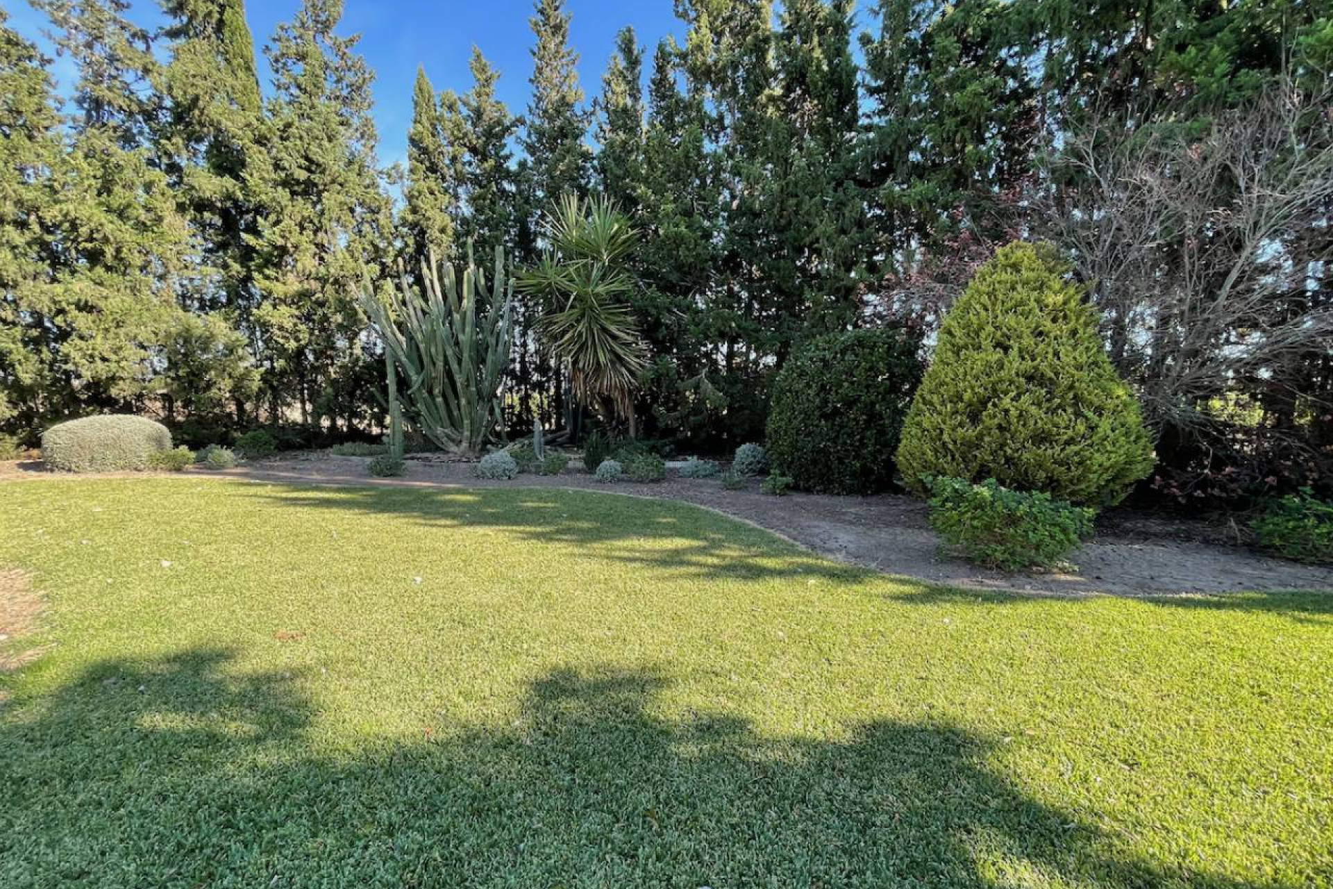 Reventa - Finca / Country Property - Daya Nueva