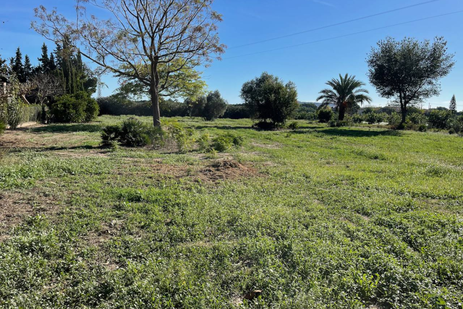 Reventa - Finca / Country Property - Daya Nueva