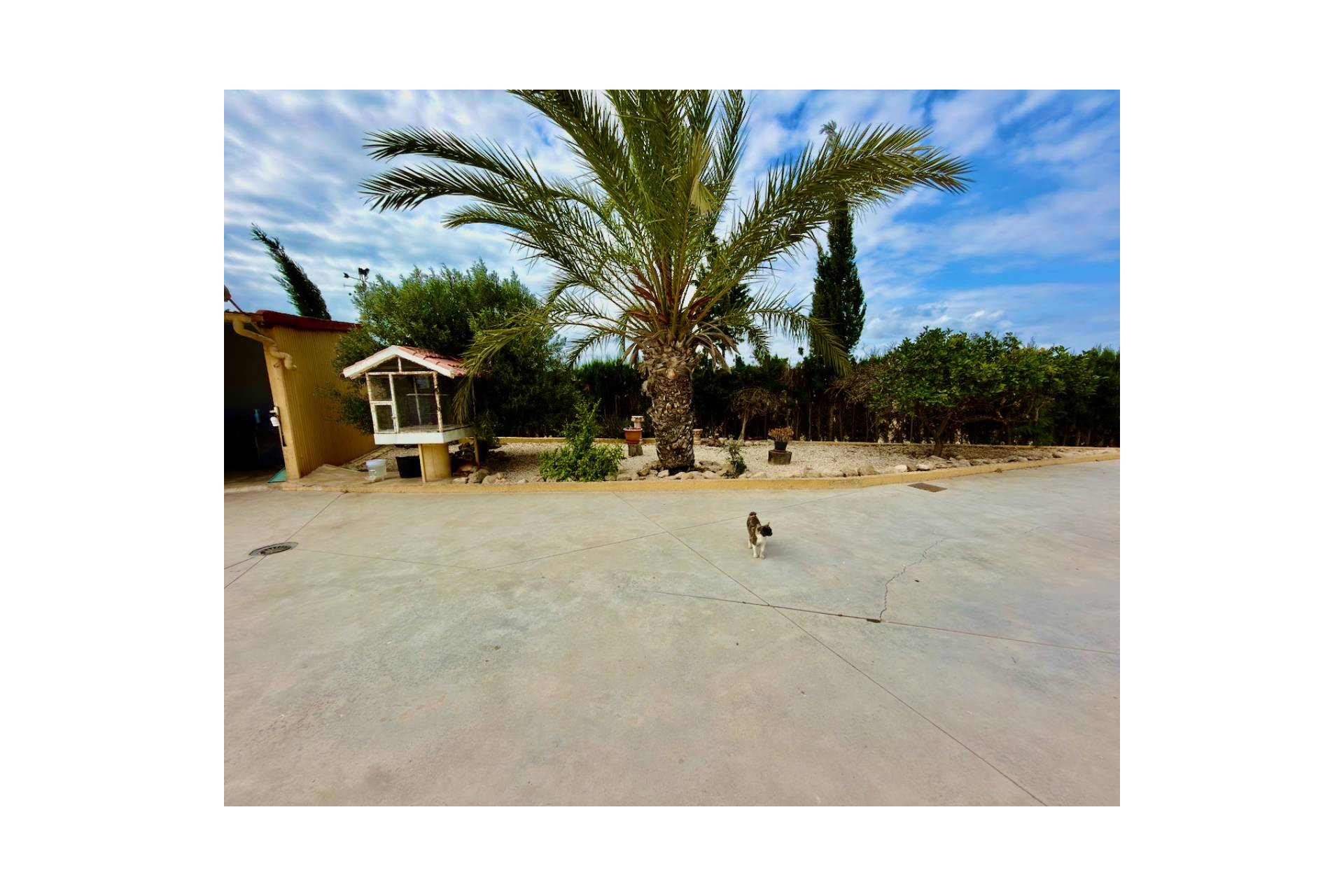 Reventa - Finca / Country Property - San Fulgencio - La Marina