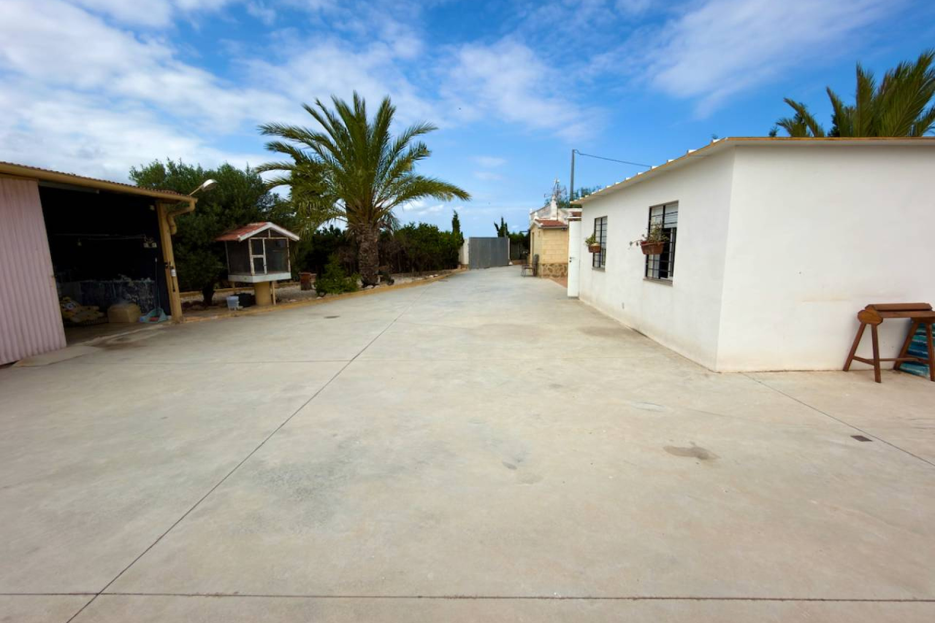 Reventa - Finca / Country Property - San Fulgencio - La Marina