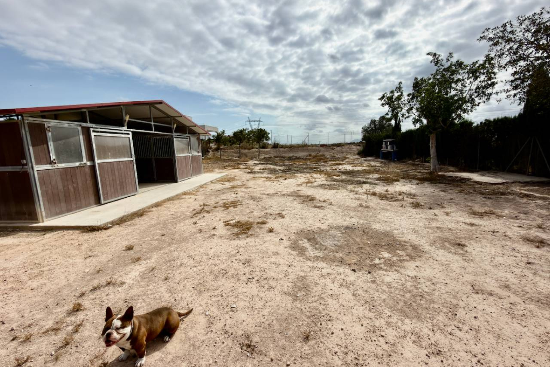 Reventa - Finca / Country Property - San Fulgencio - La Marina