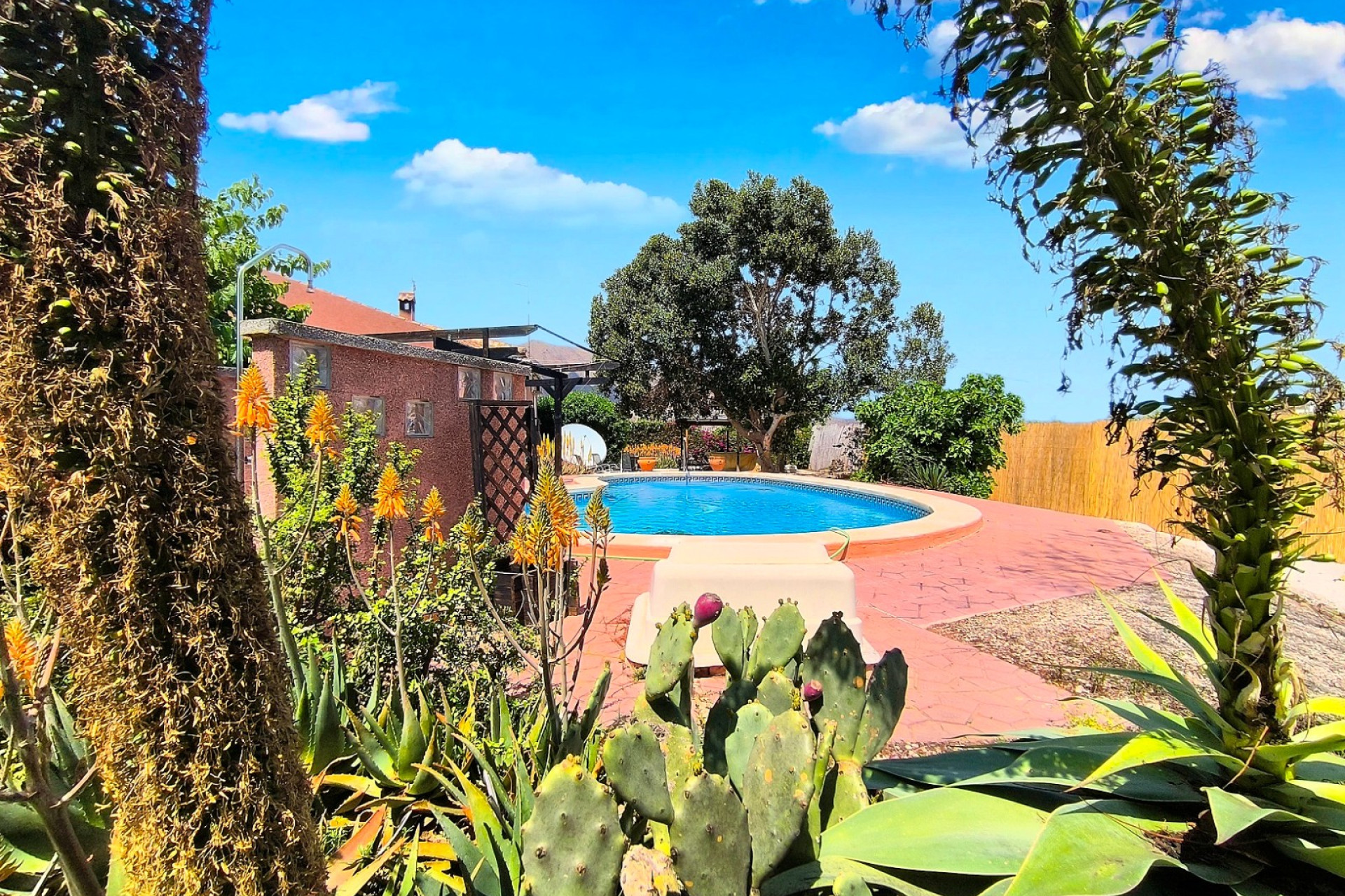 Reventa - finca - Orihuela Costa - Orihuela