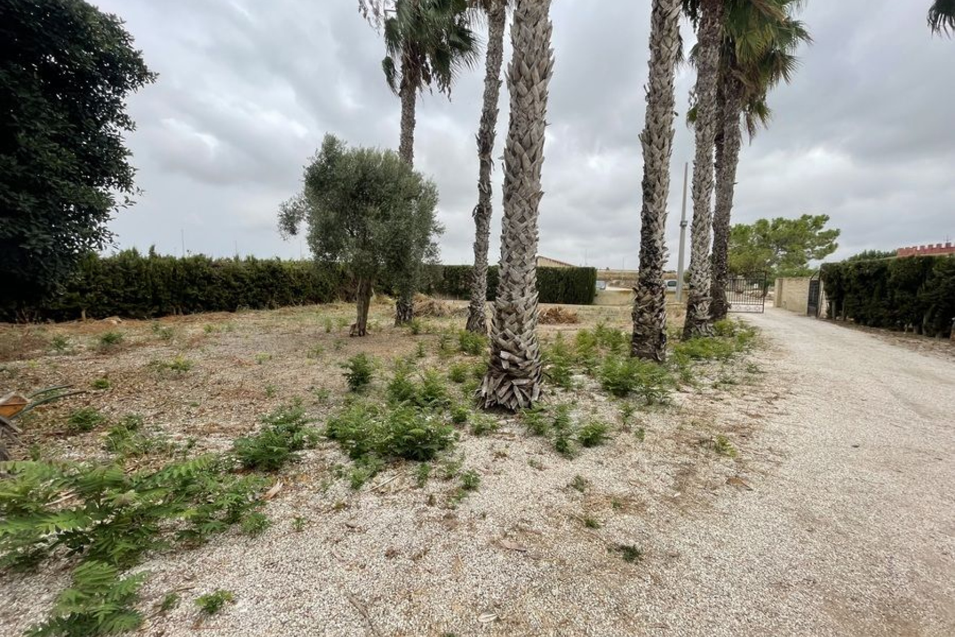 Reventa - Finca rústica - Daya Vieja - Comunidad valenciana