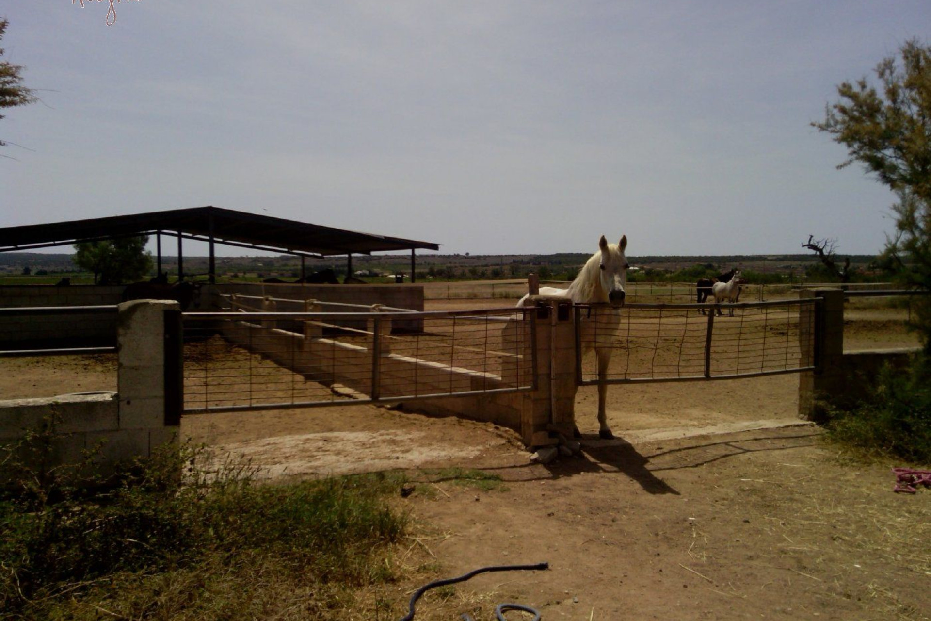 Reventa - Hacienda - Elche