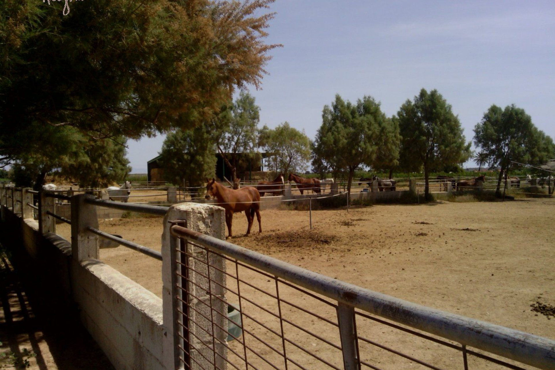 Reventa - Hacienda - Elche