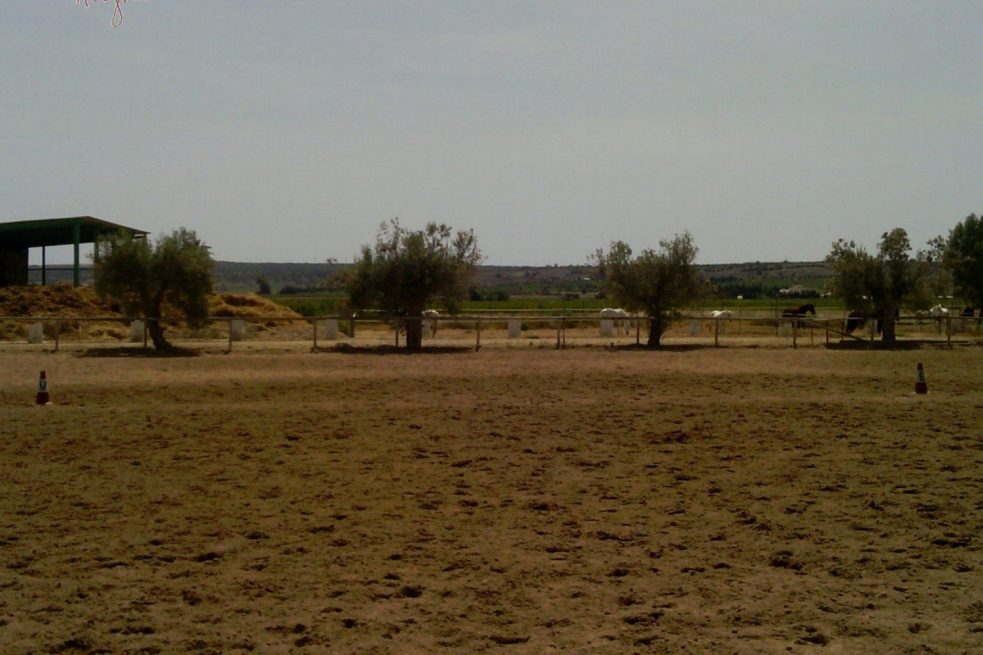 Reventa - Hacienda - Elche