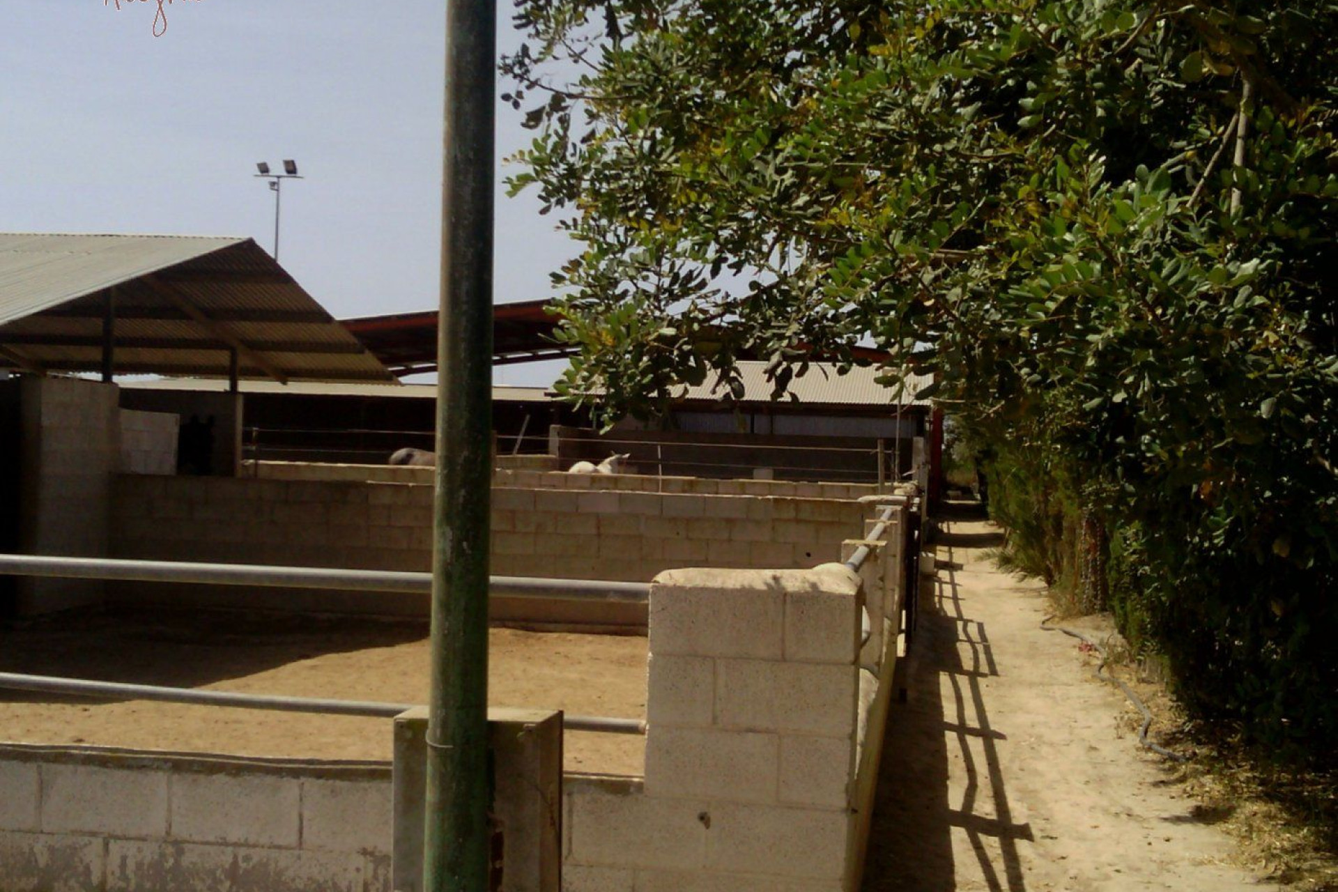 Reventa - Hacienda - Elche