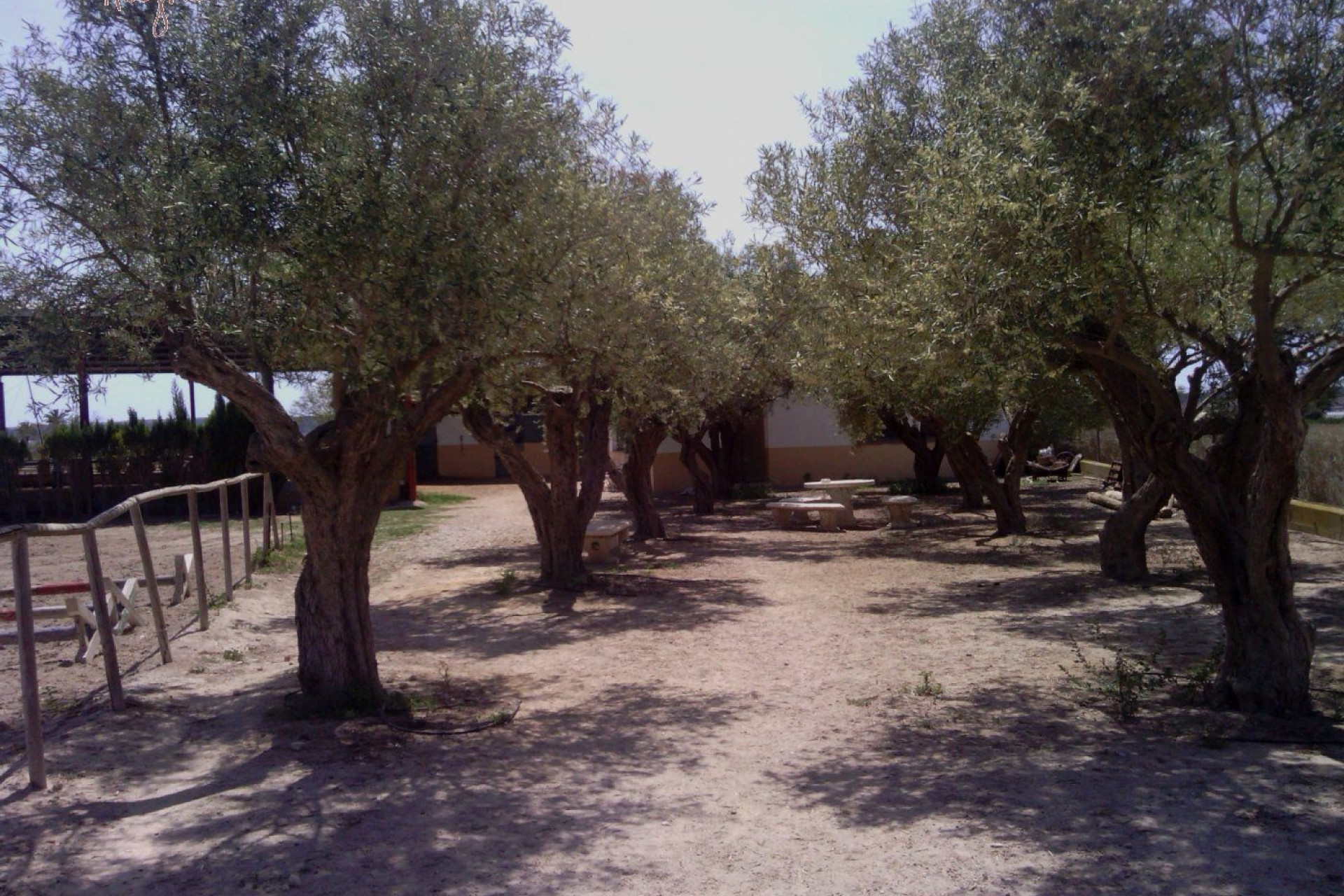 Reventa - Hacienda - Elche