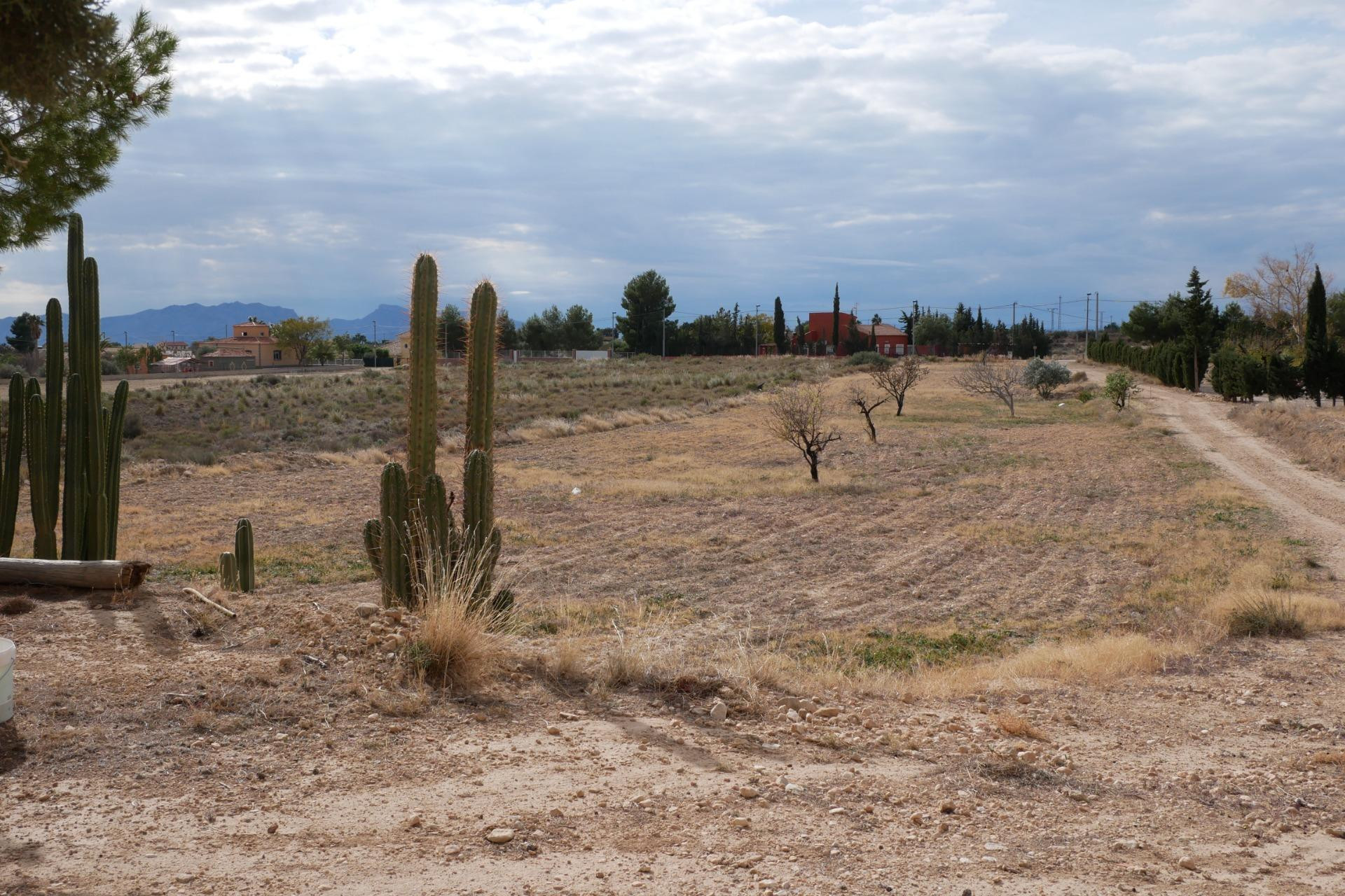 Reventa - House - Abanilla - EL SALADO