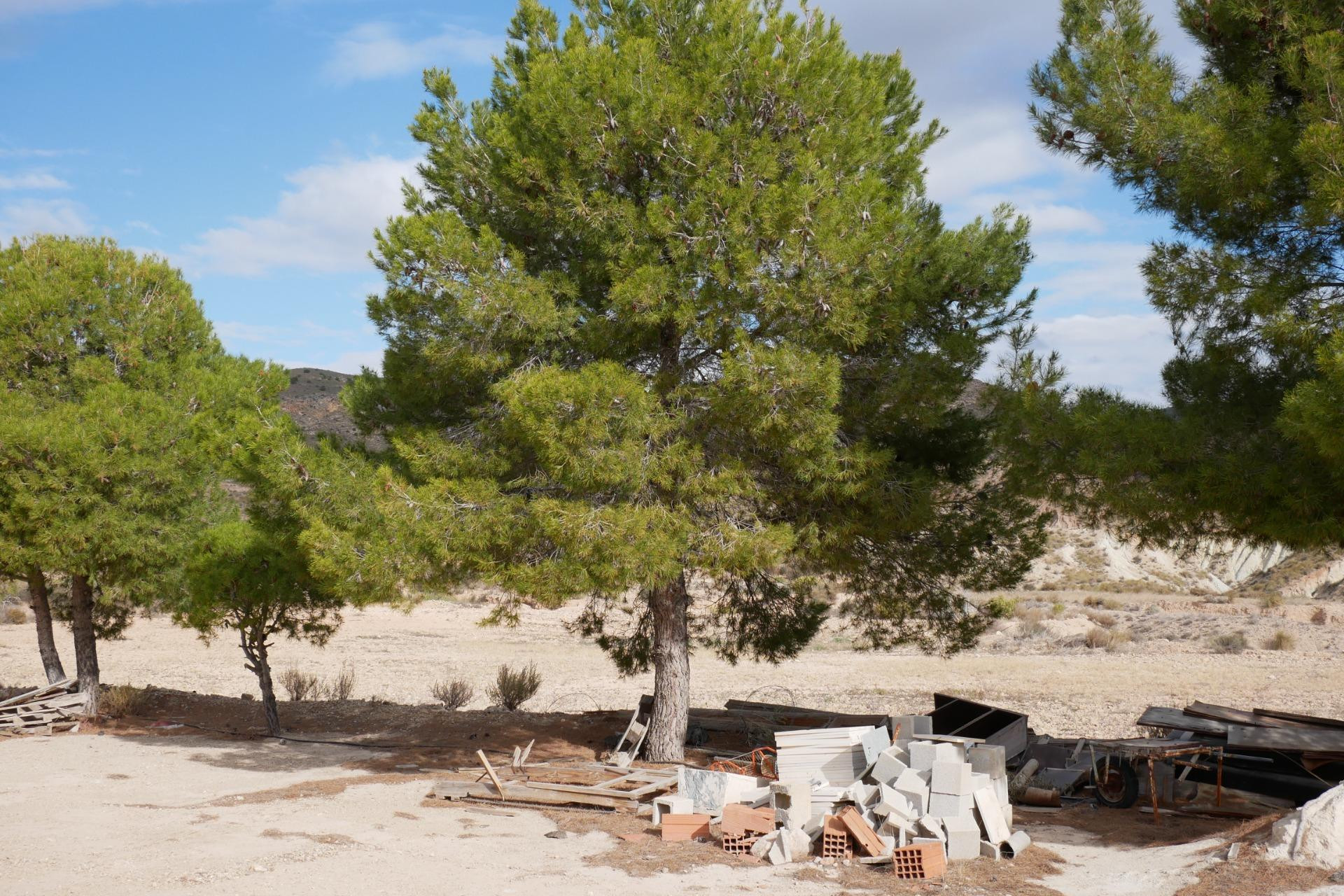 Reventa - House - Abanilla - EL SALADO