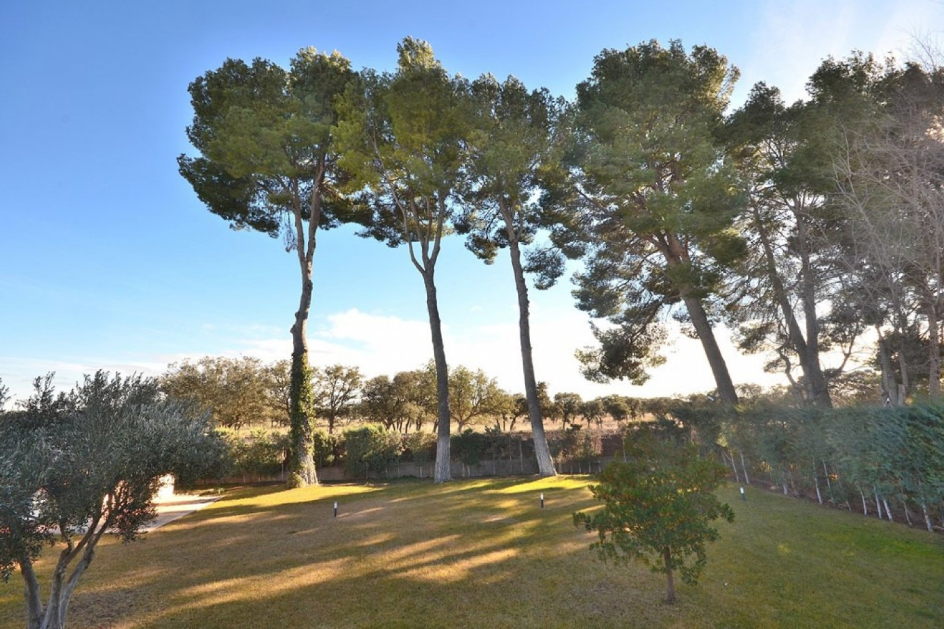 Reventa - House - Albacete - Agua sol