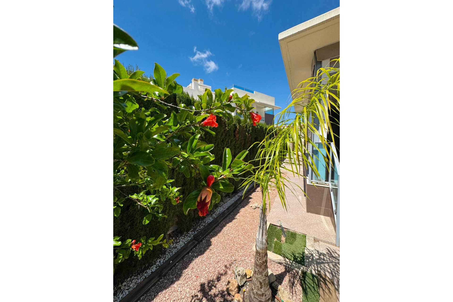 Reventa - House - Benijofar - Costa blanca sur