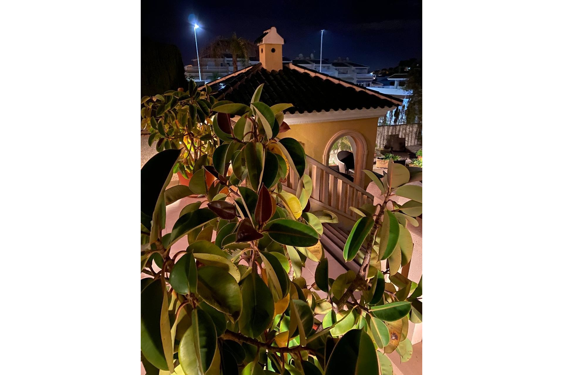 Reventa - House - Ciudad Quesada - La fiesta 2