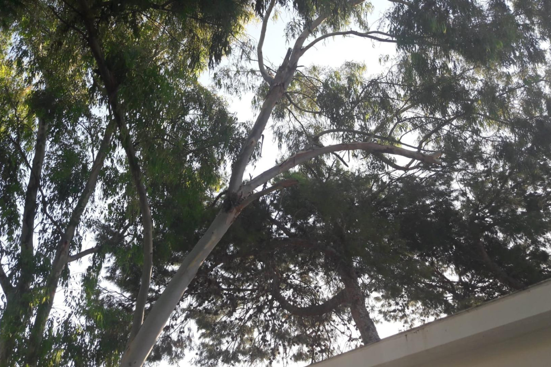 Reventa - House - El Campello - Pueblo Español - Coveta Fumá