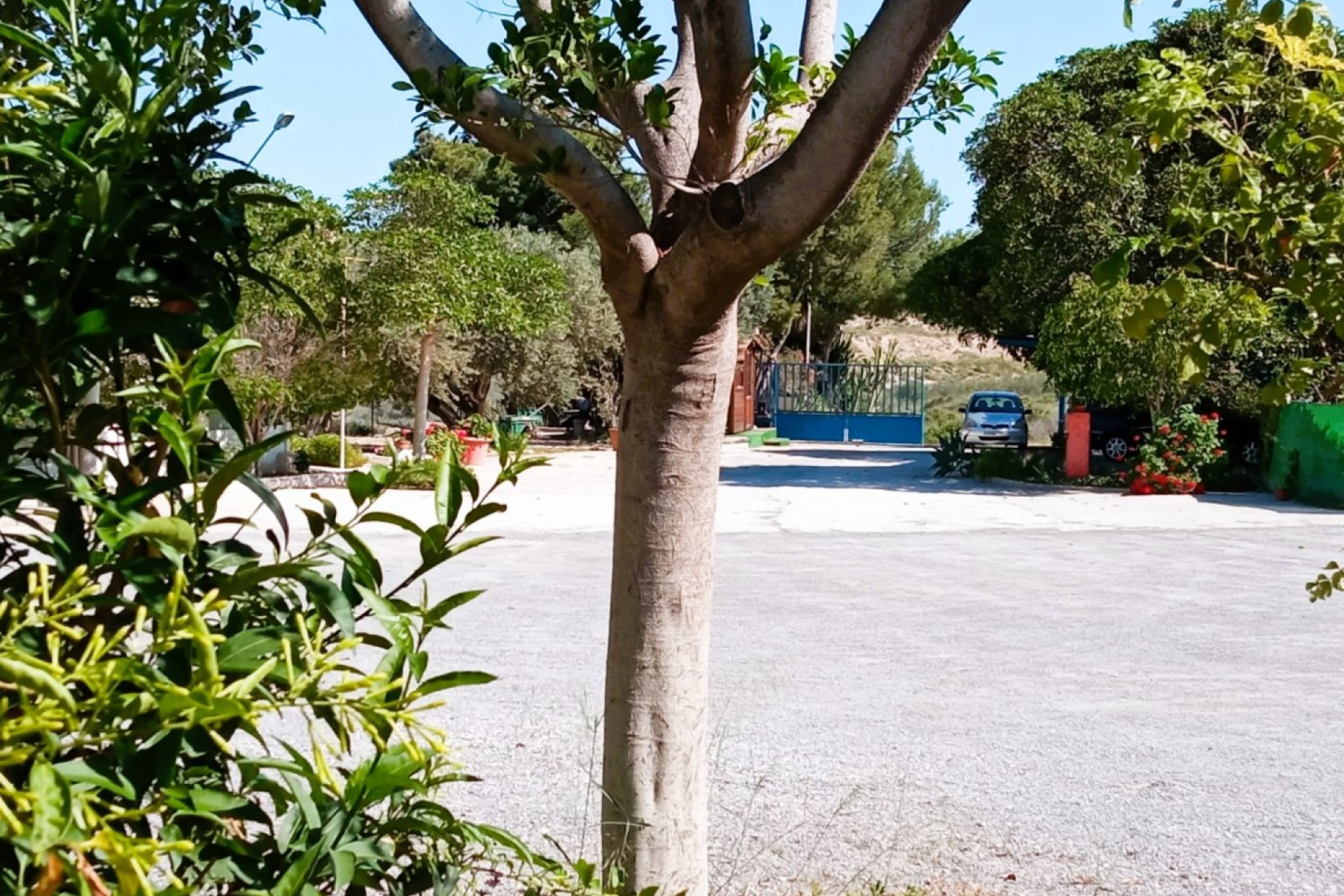 Reventa - House - Mutxamel - Bonalba-Cotoveta