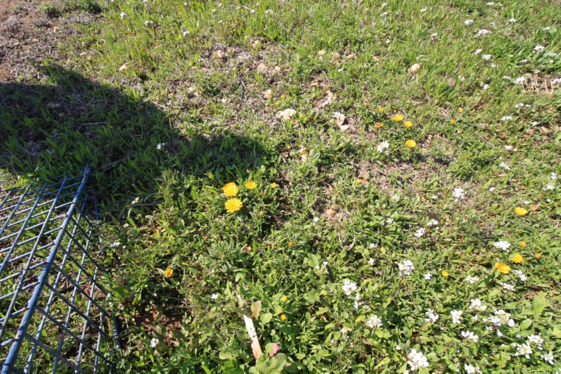 Reventa - House - Orihuela Costa - Campoamor