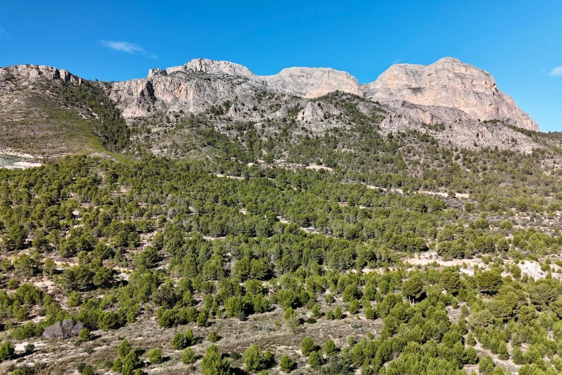 Reventa - House - Polop - Alberca