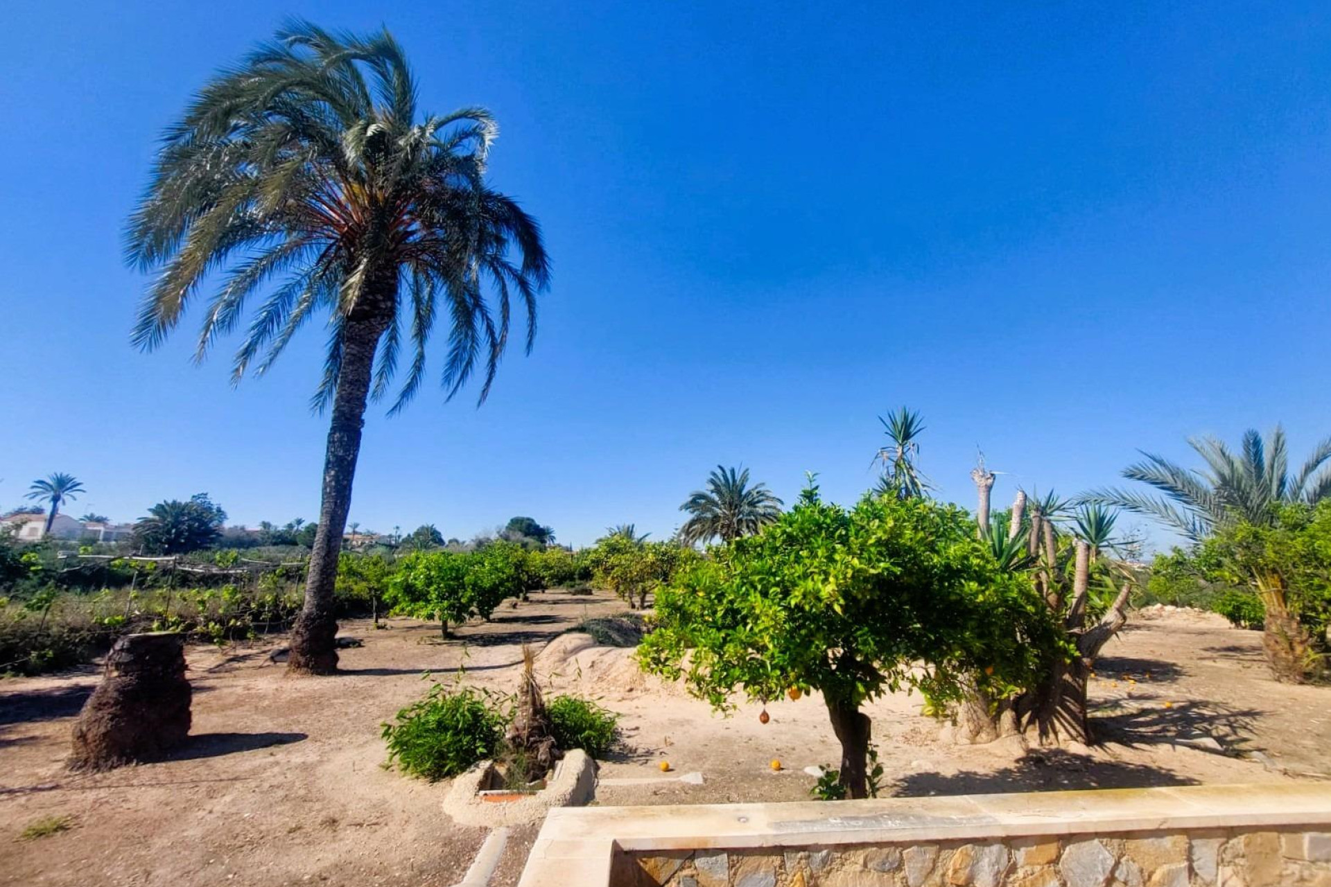 Reventa - Masía - LA MARINA