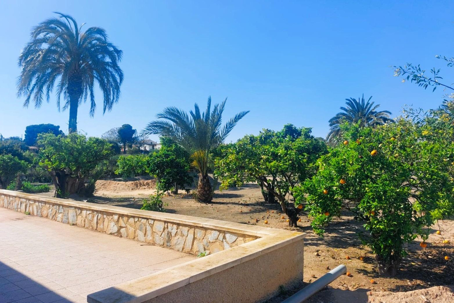 Reventa - Masía - LA MARINA