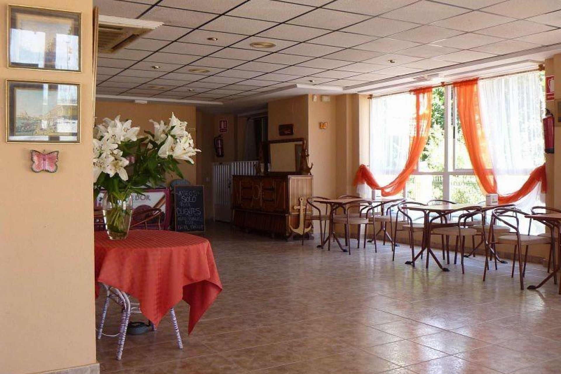 Reventa - Negocio - Torrevieja - Acequion