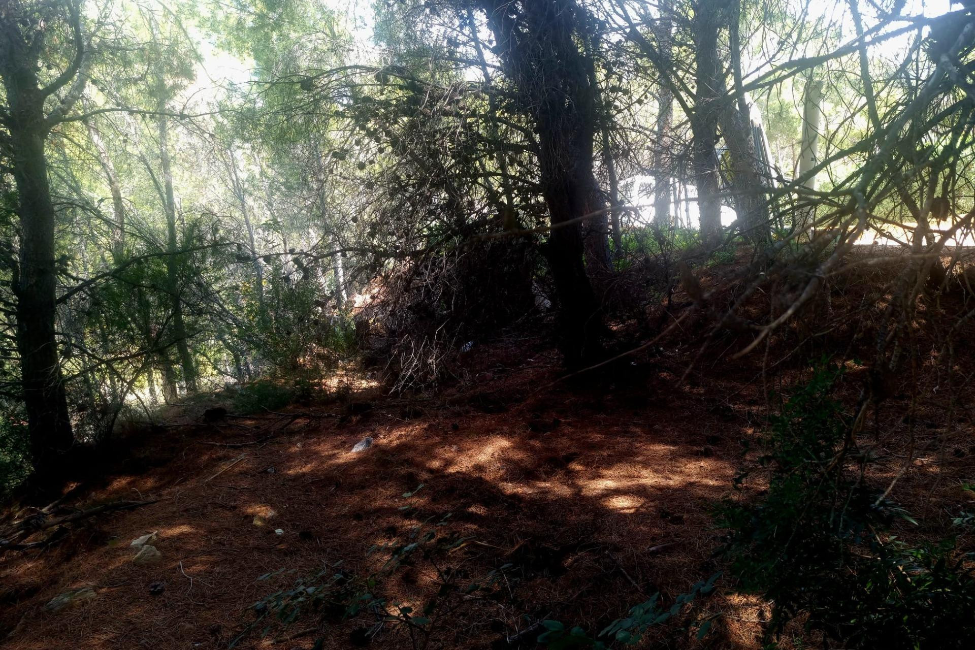 Reventa - Parcela - Altea - Galera de las palmeras