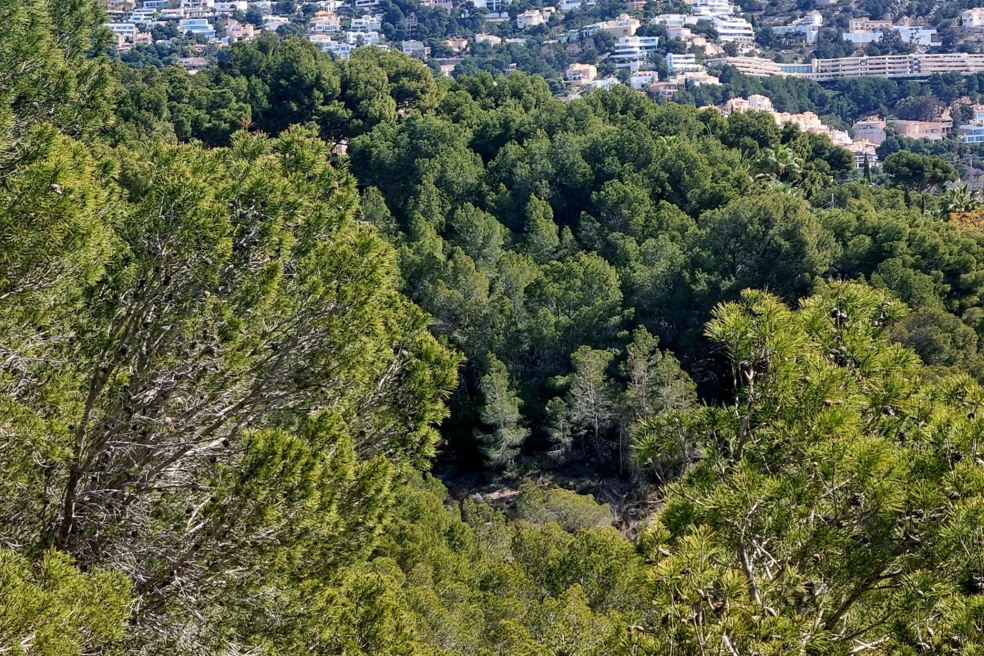 Reventa - Parcela - Altea - Galera de las palmeras