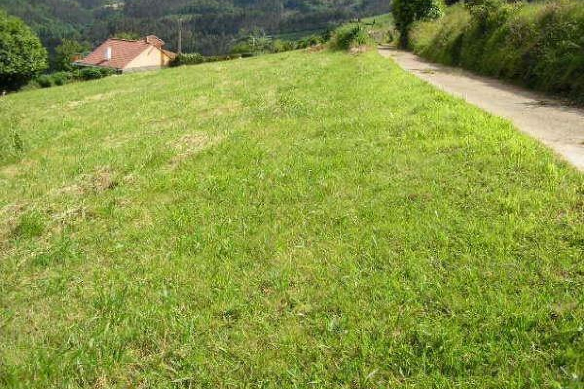 Reventa - Parcela - Cudillero - Costa verde