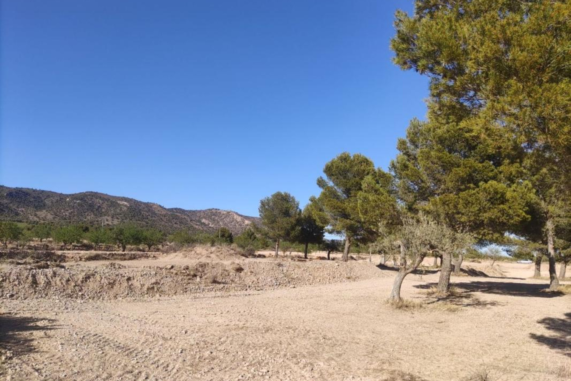 Reventa - Parcela / Terreno - Pinoso
