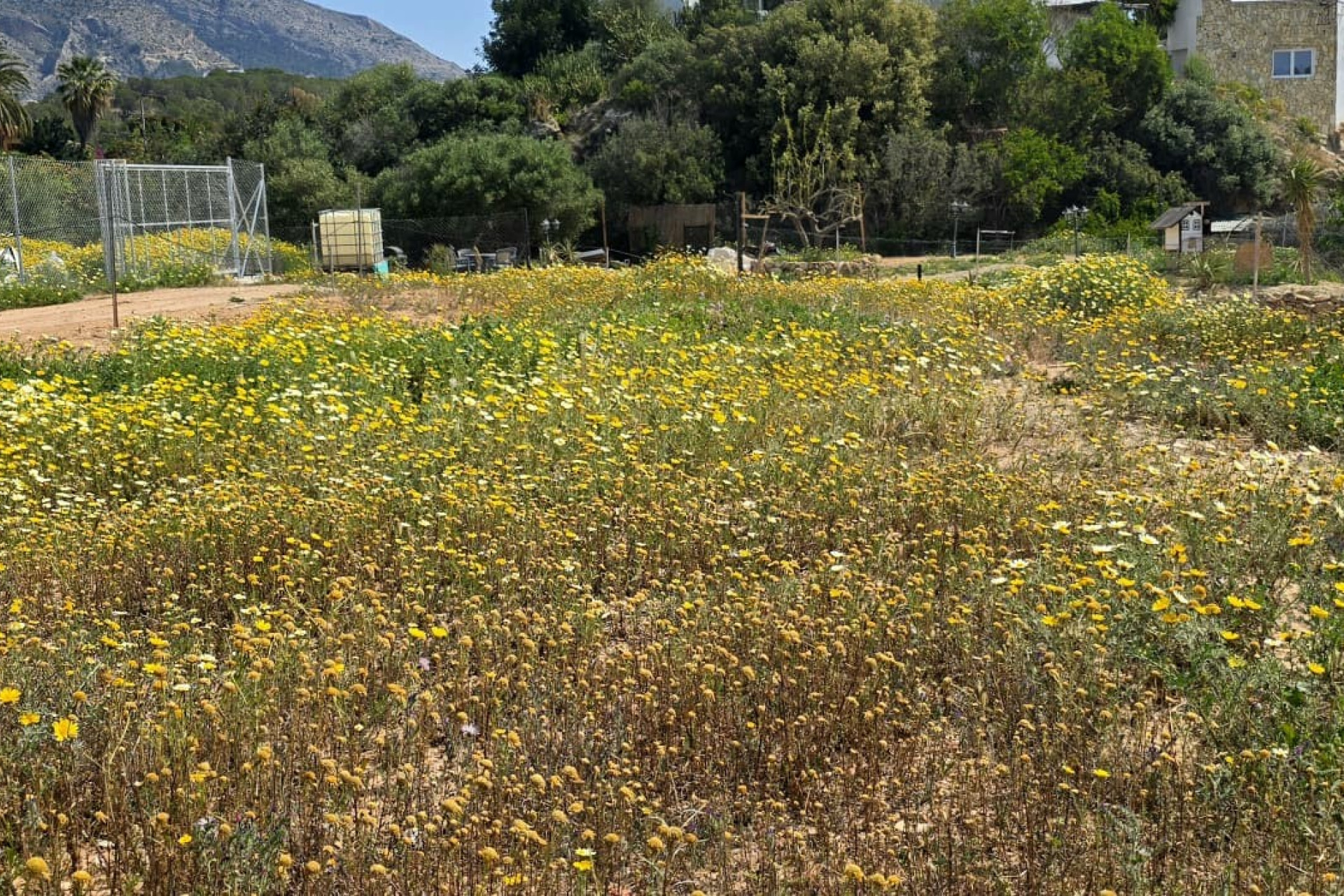 Reventa - rustic plot - Altea - Olla Altea