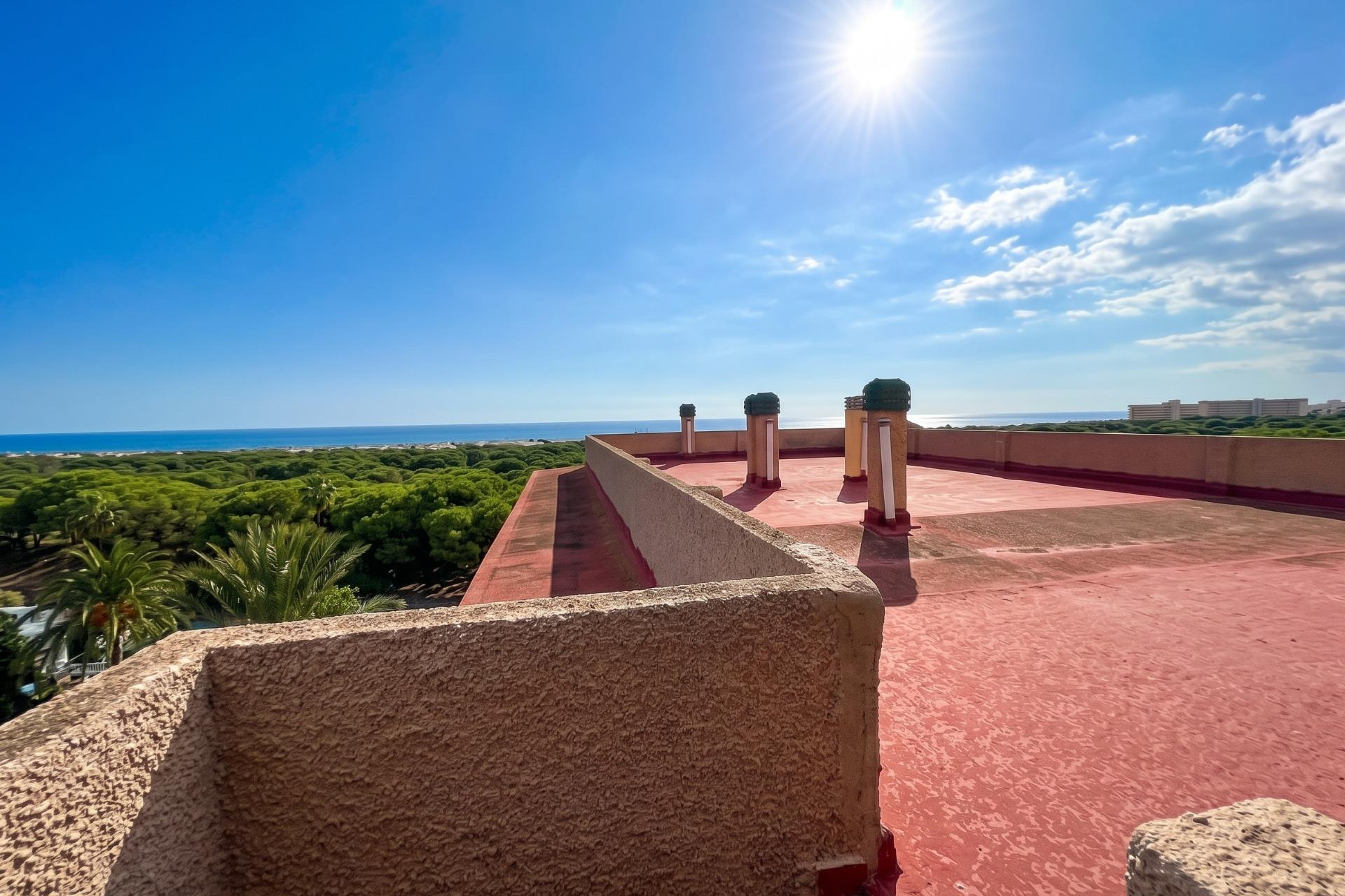 Reventa - Studio - Guardamar del Segura - Lomas de Polo-Pinomar