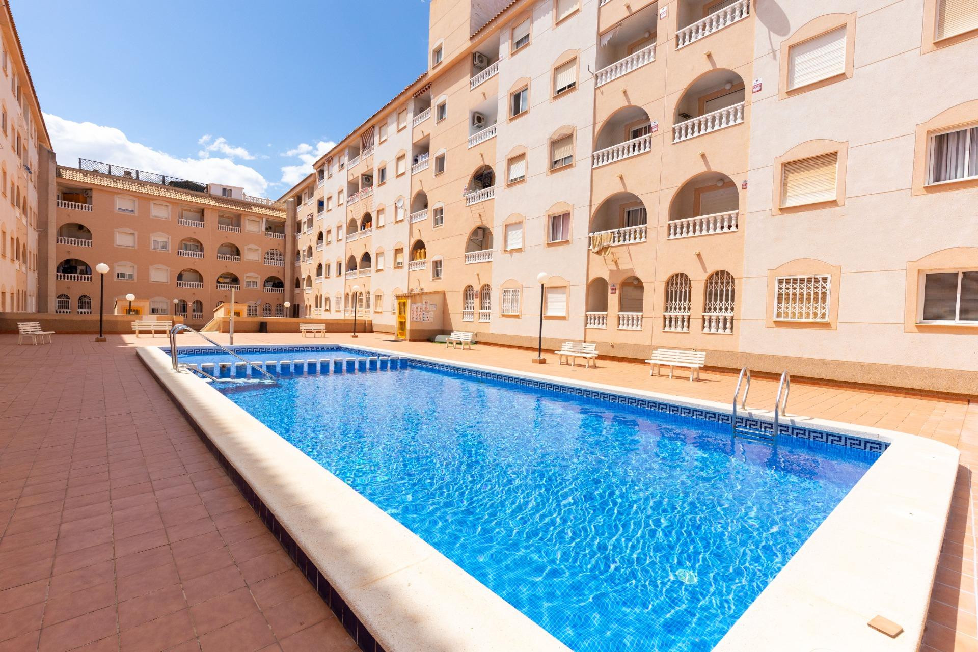Reventa - Studio - Torrevieja - Centro - Muelle Pesquero