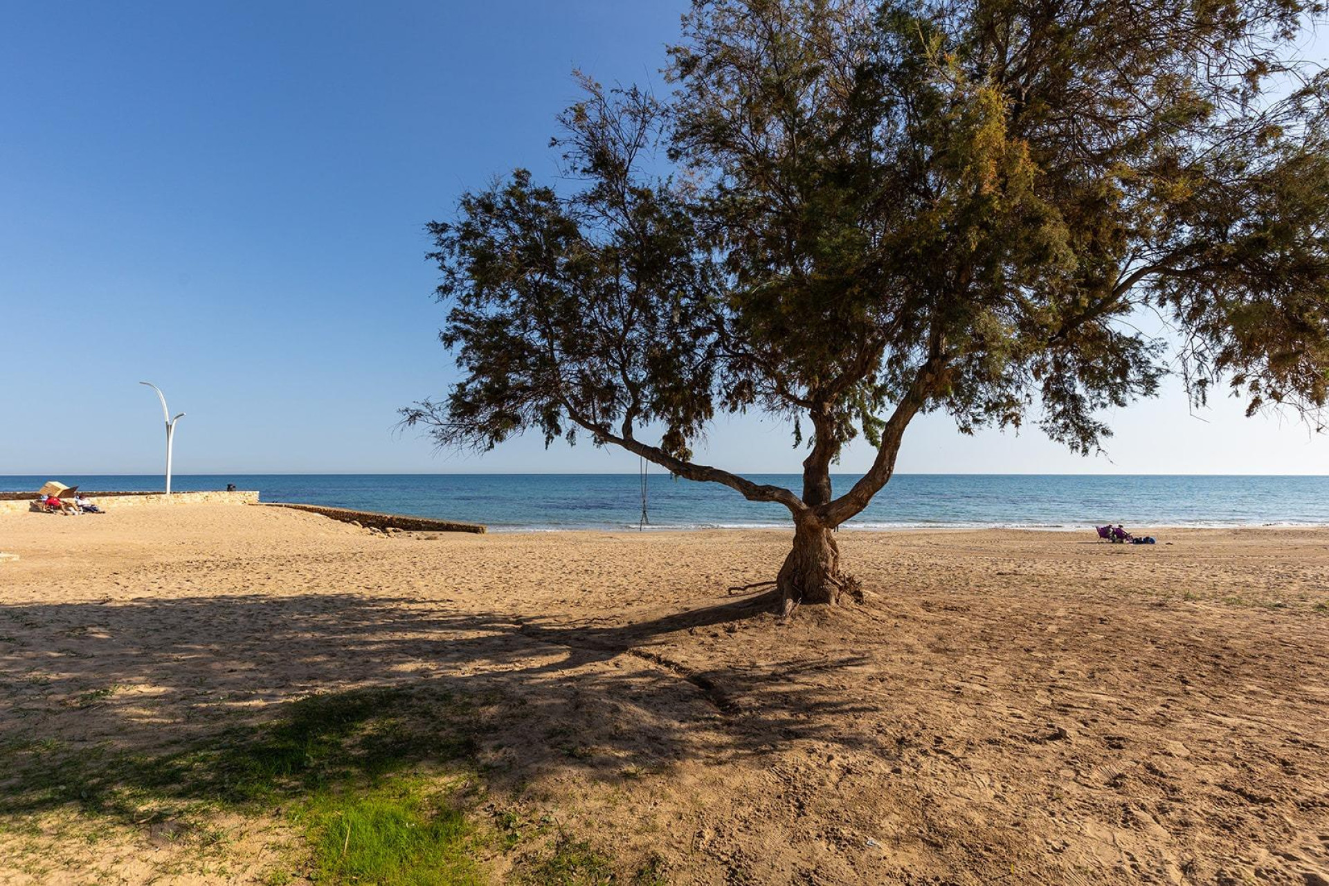 Reventa - Studio - Torrevieja - La Mata