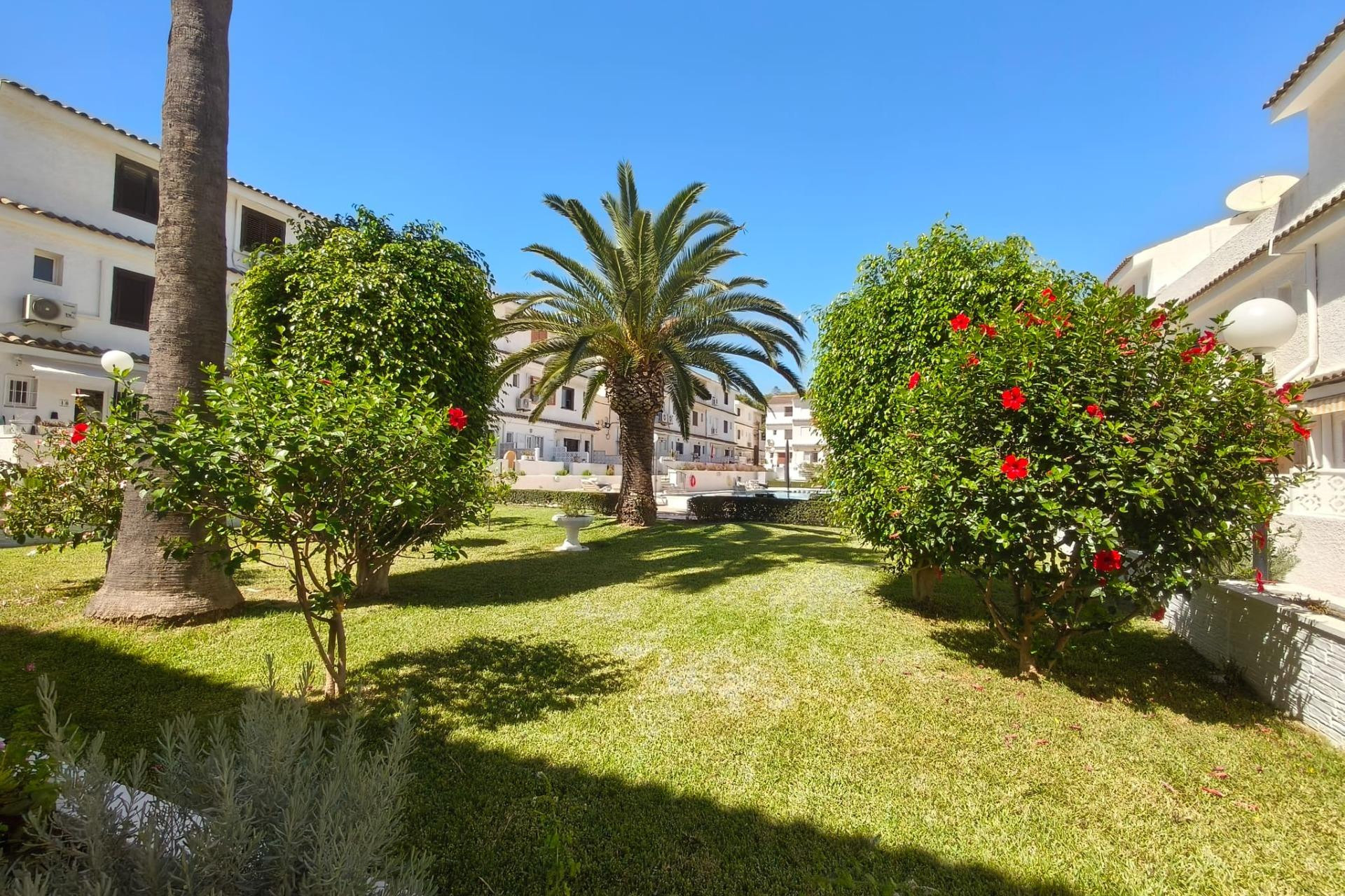 Reventa - Triplex - Torrevieja - Punta prima