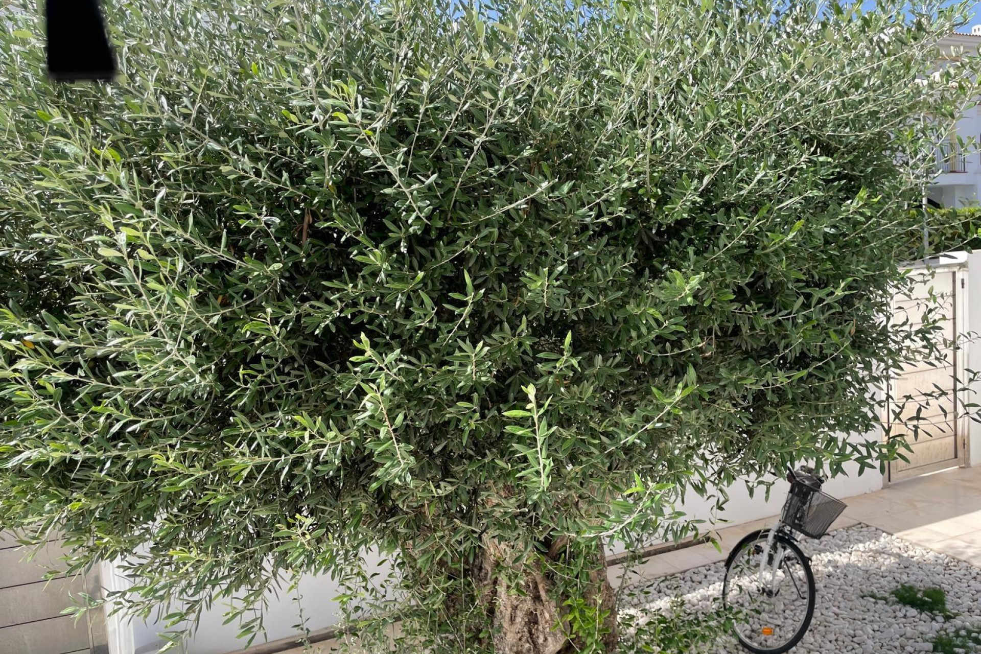 Reventa - Villa de Lujo - Alicante - Alicante Golf