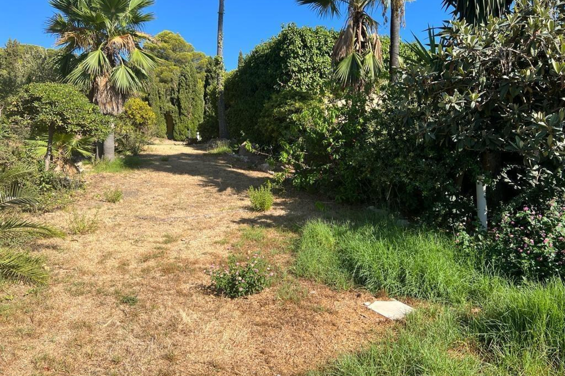 Reventa - Villa de Lujo - Altea - Playa