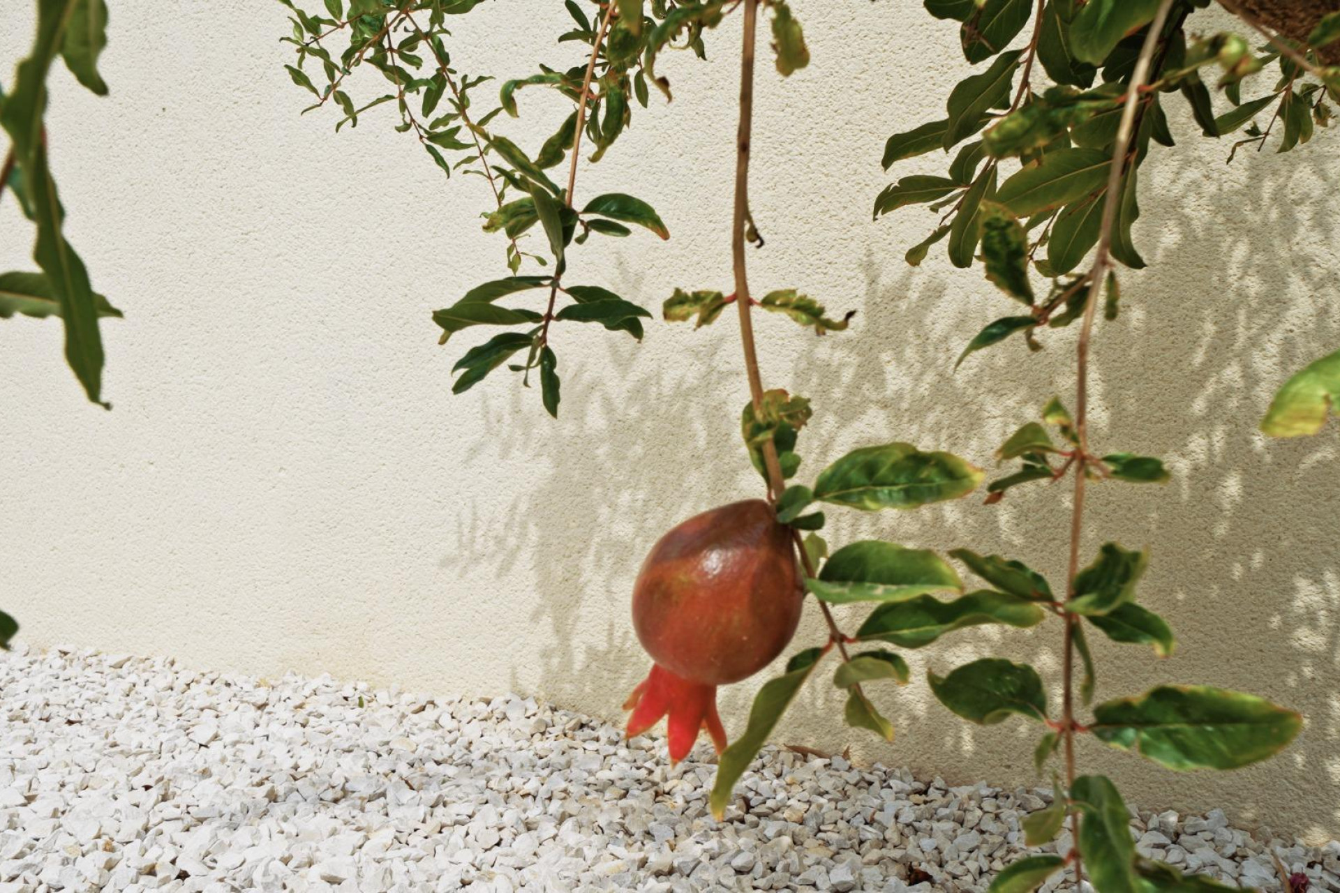 Reventa - Villa de Lujo - Polop - Urbanizaciones