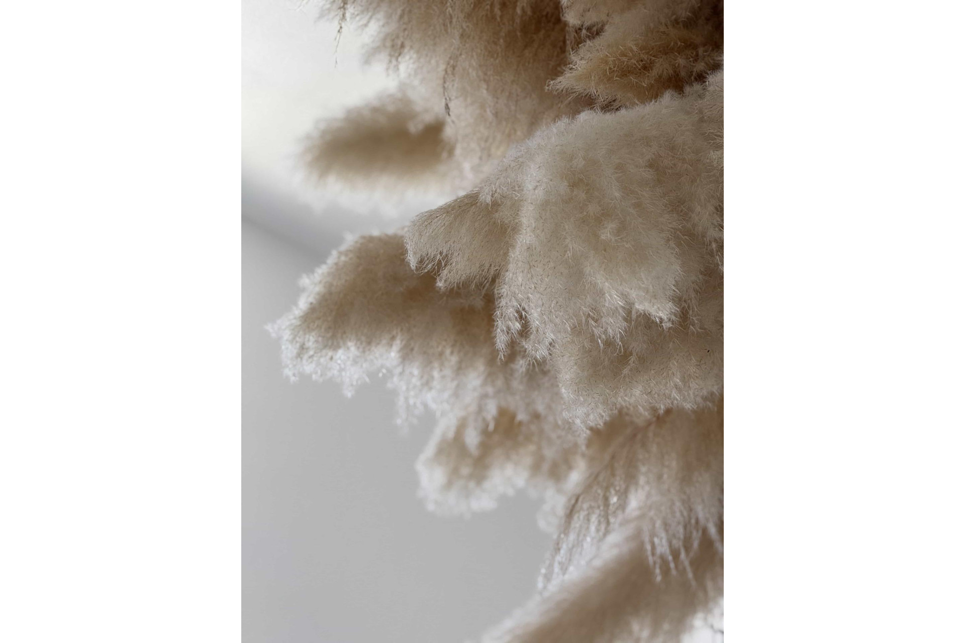 Reventa - Villa de Lujo - San Juan Playa - Cabo de las huertas