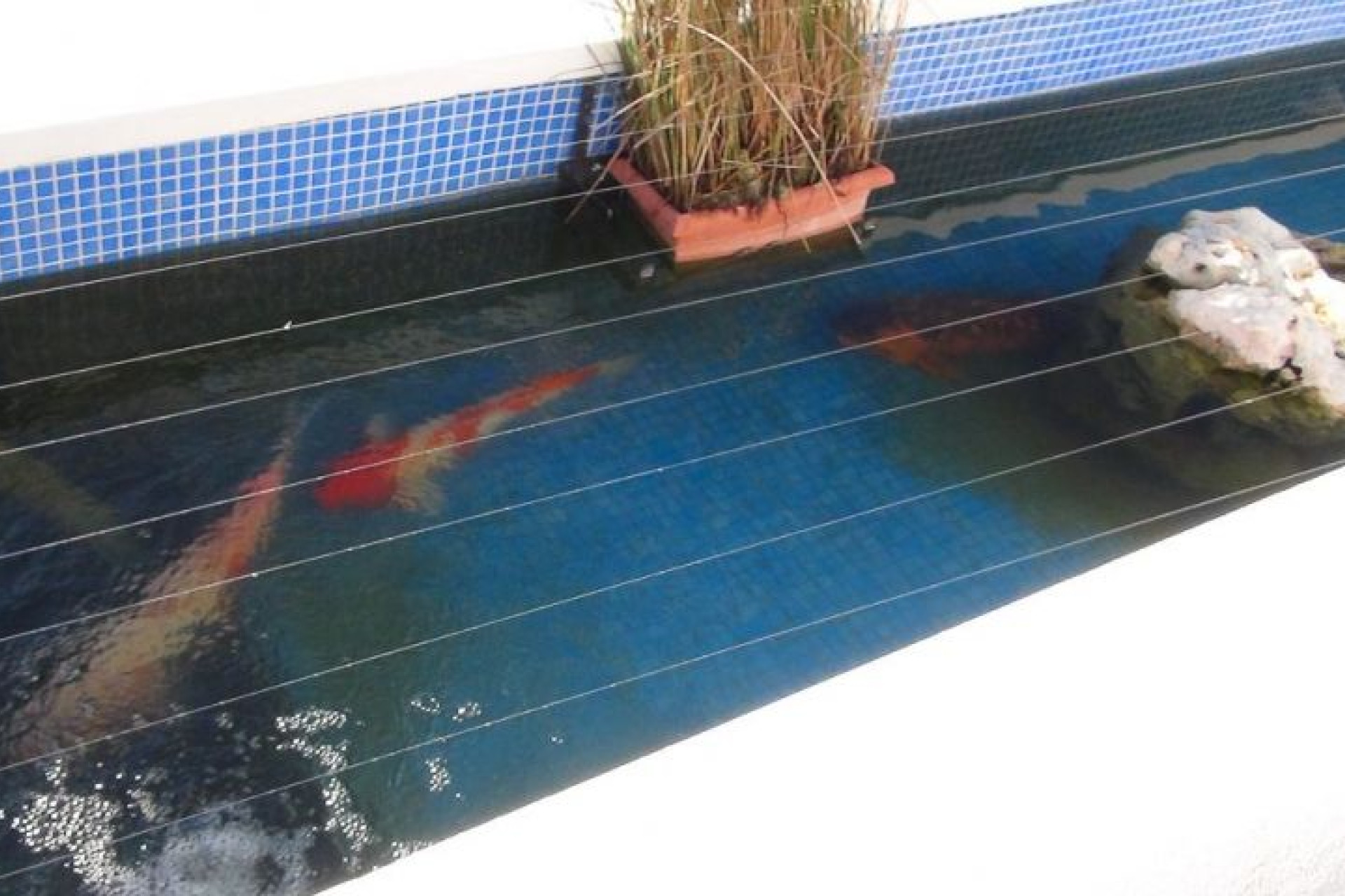 Reventa - Villa - Hondón de las Nieves