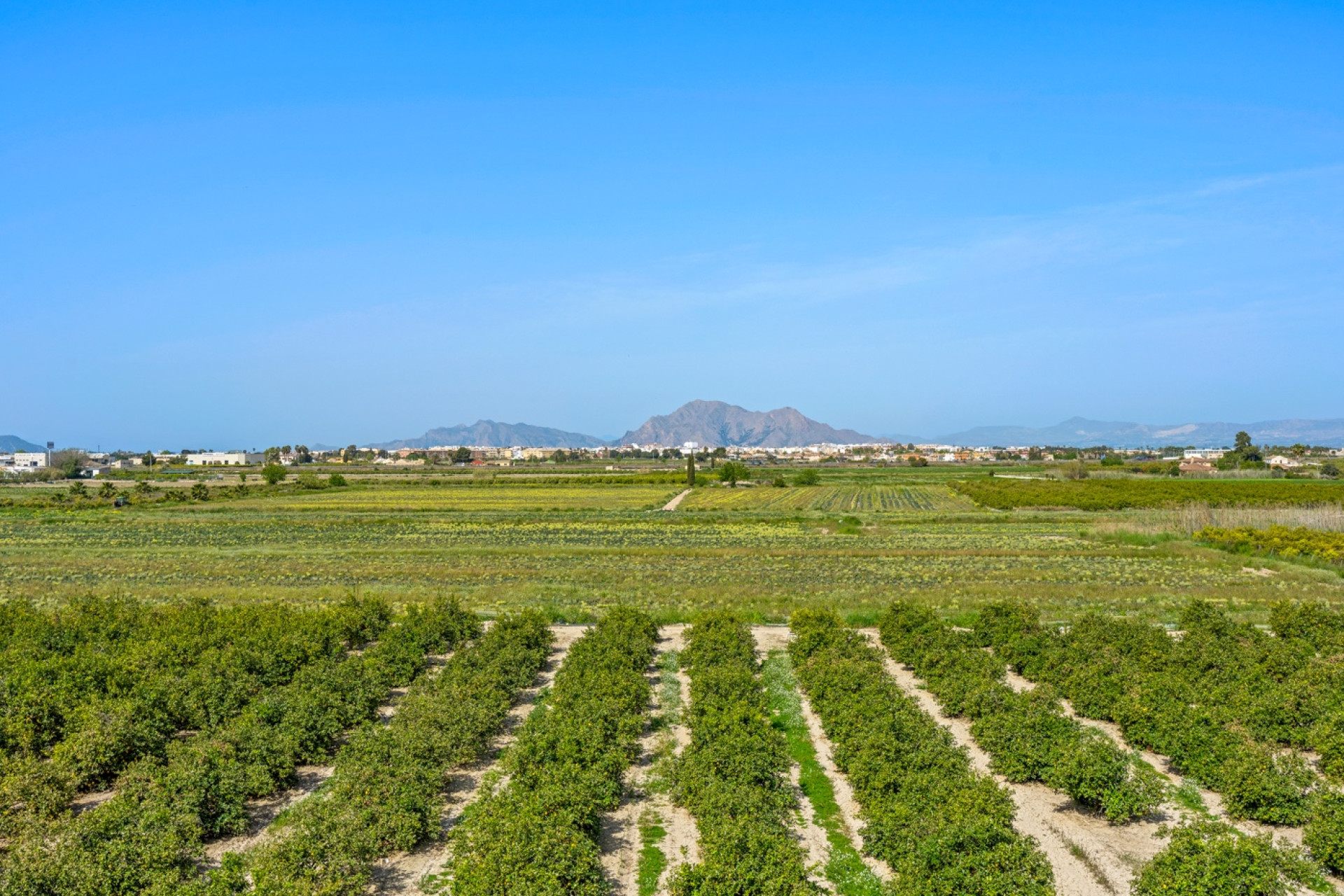 Revente - 1. Apartment / flat - Daya Nueva - Costa Blanca South