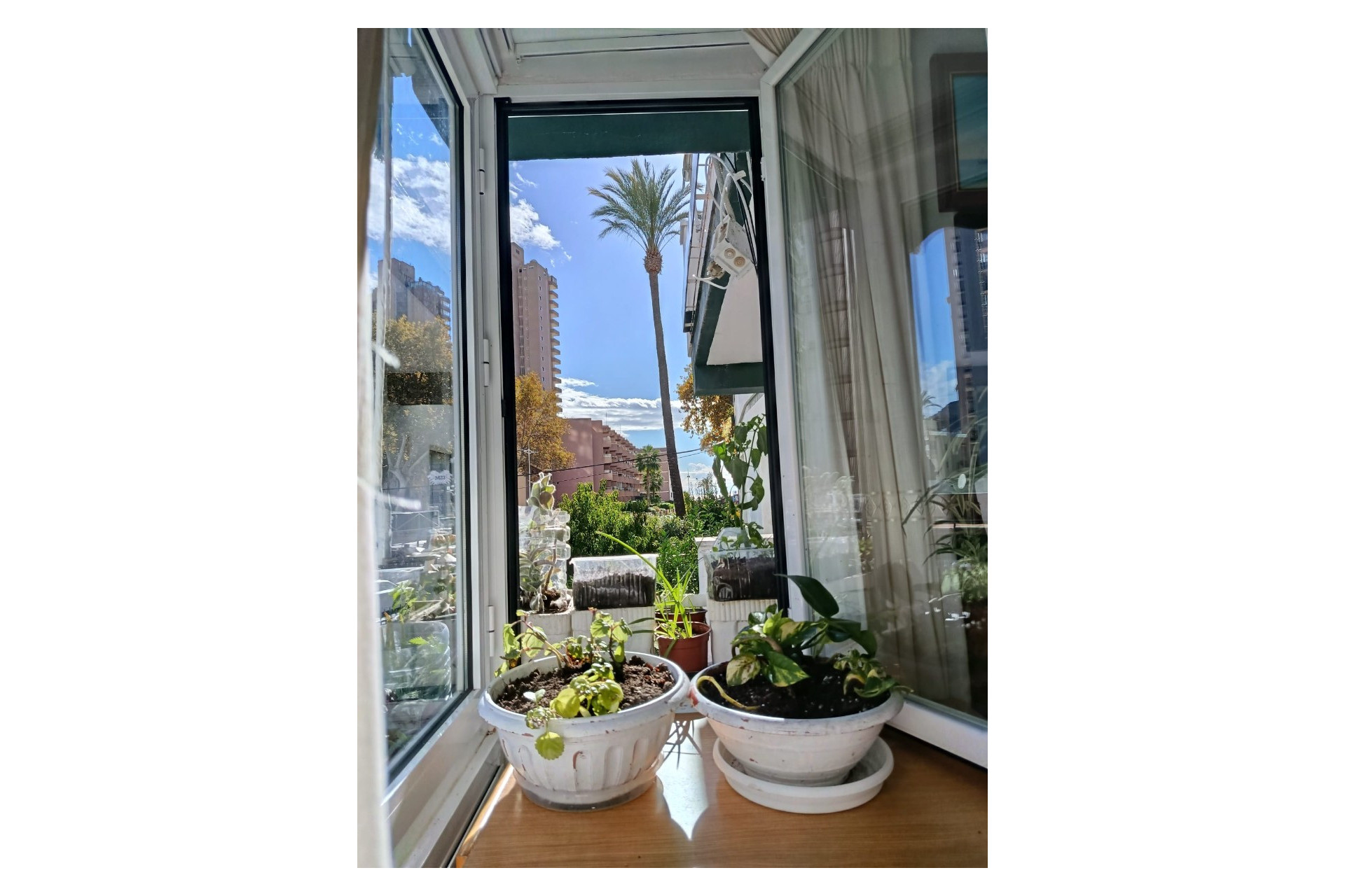 Revente - Apartment / flat - Benidorm - Levante