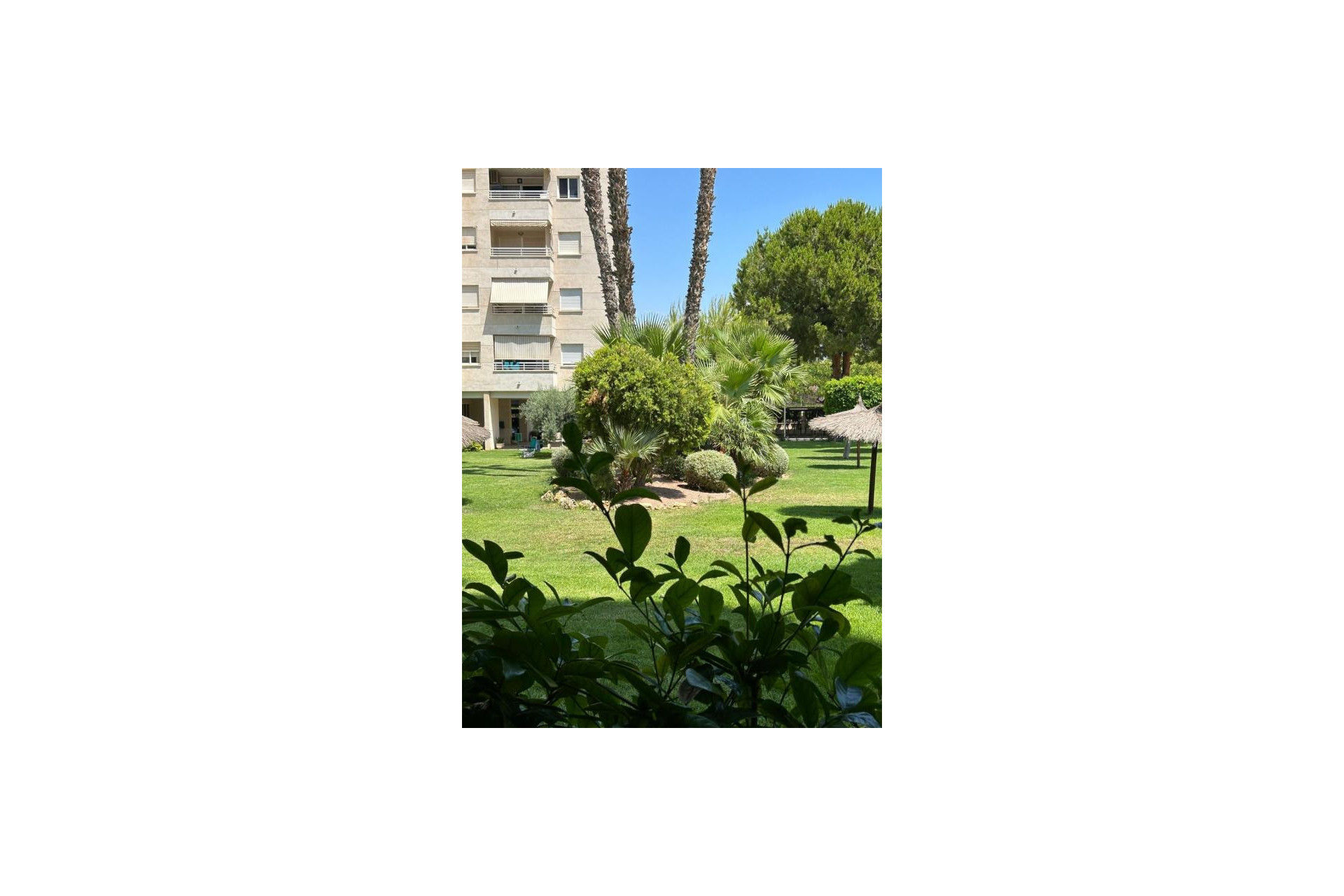 Revente - Appartement - Alicante / Alacant