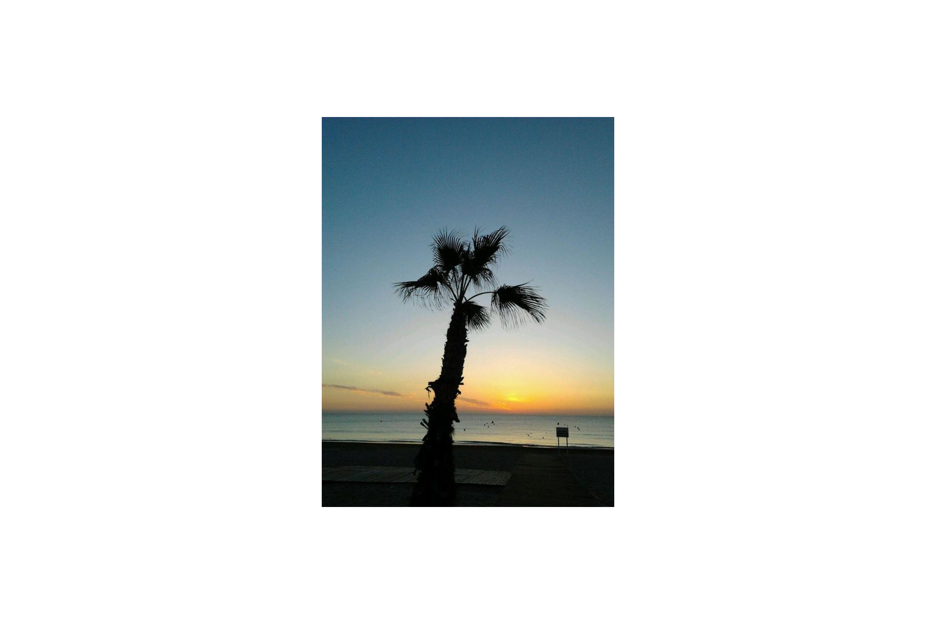 Revente - Appartement - Alicante / Alacant