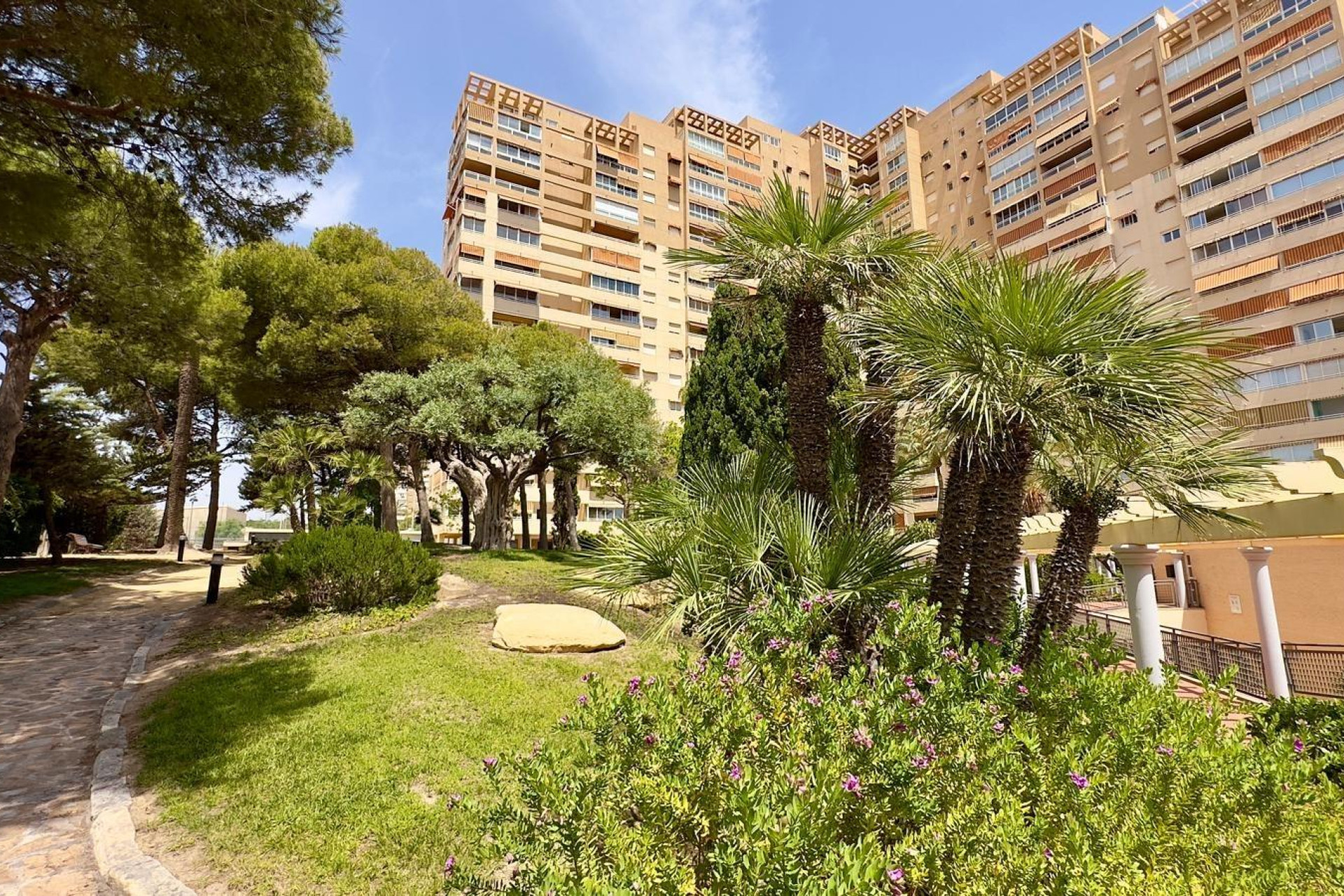 Revente - Appartement - El Campello - Playa muchavista