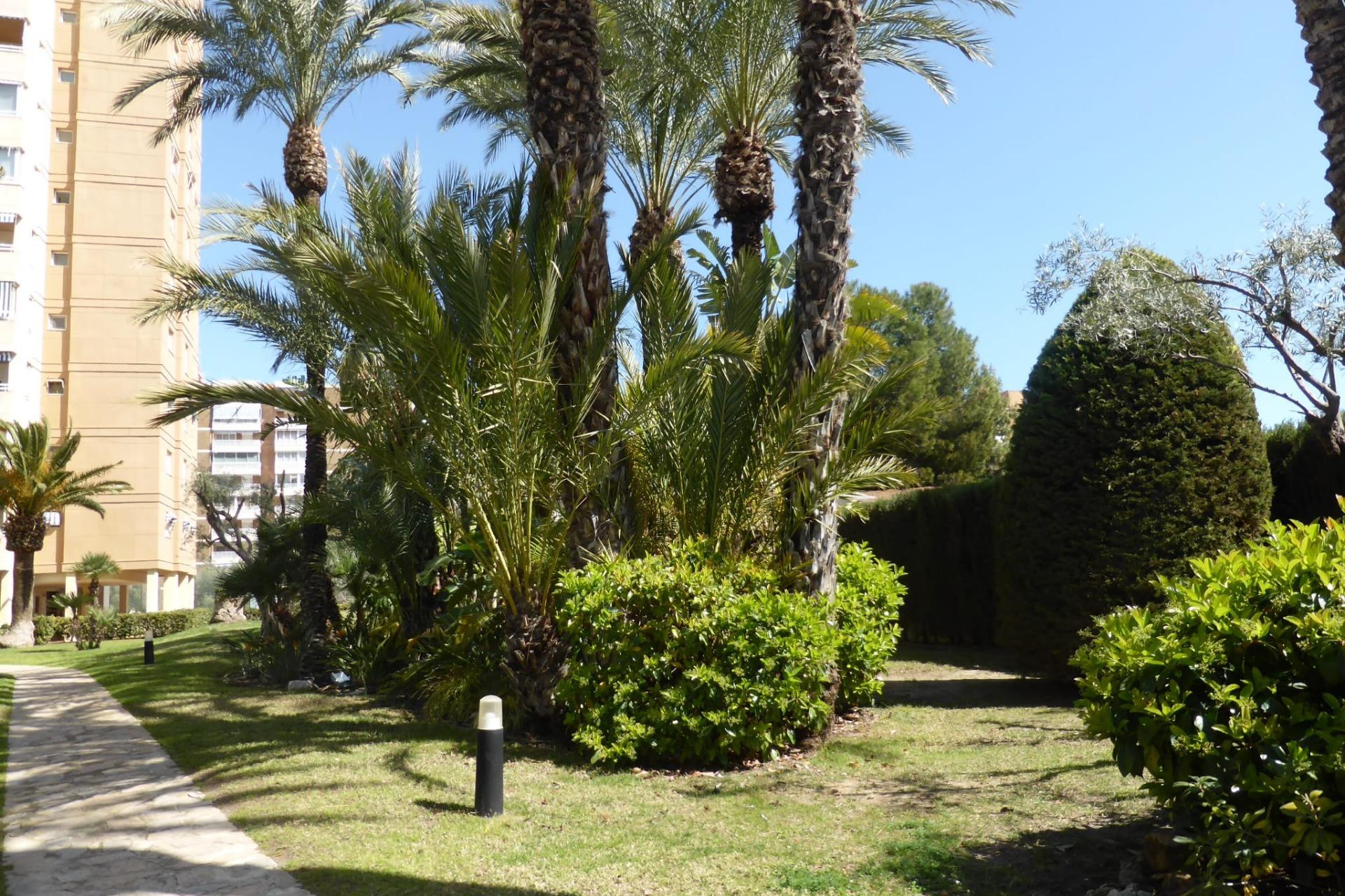 Revente - Appartement - El Campello - Playa muchavista