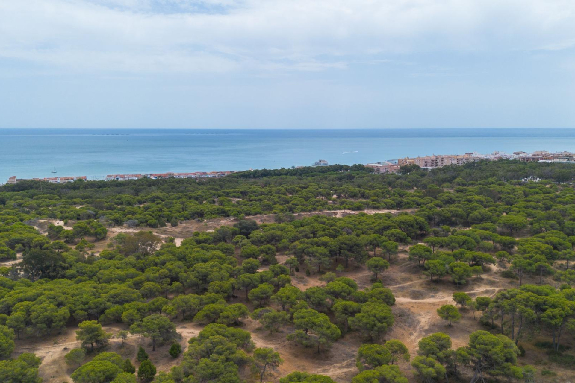 Revente - Appartement - Guardamar del Segura - CENTRO