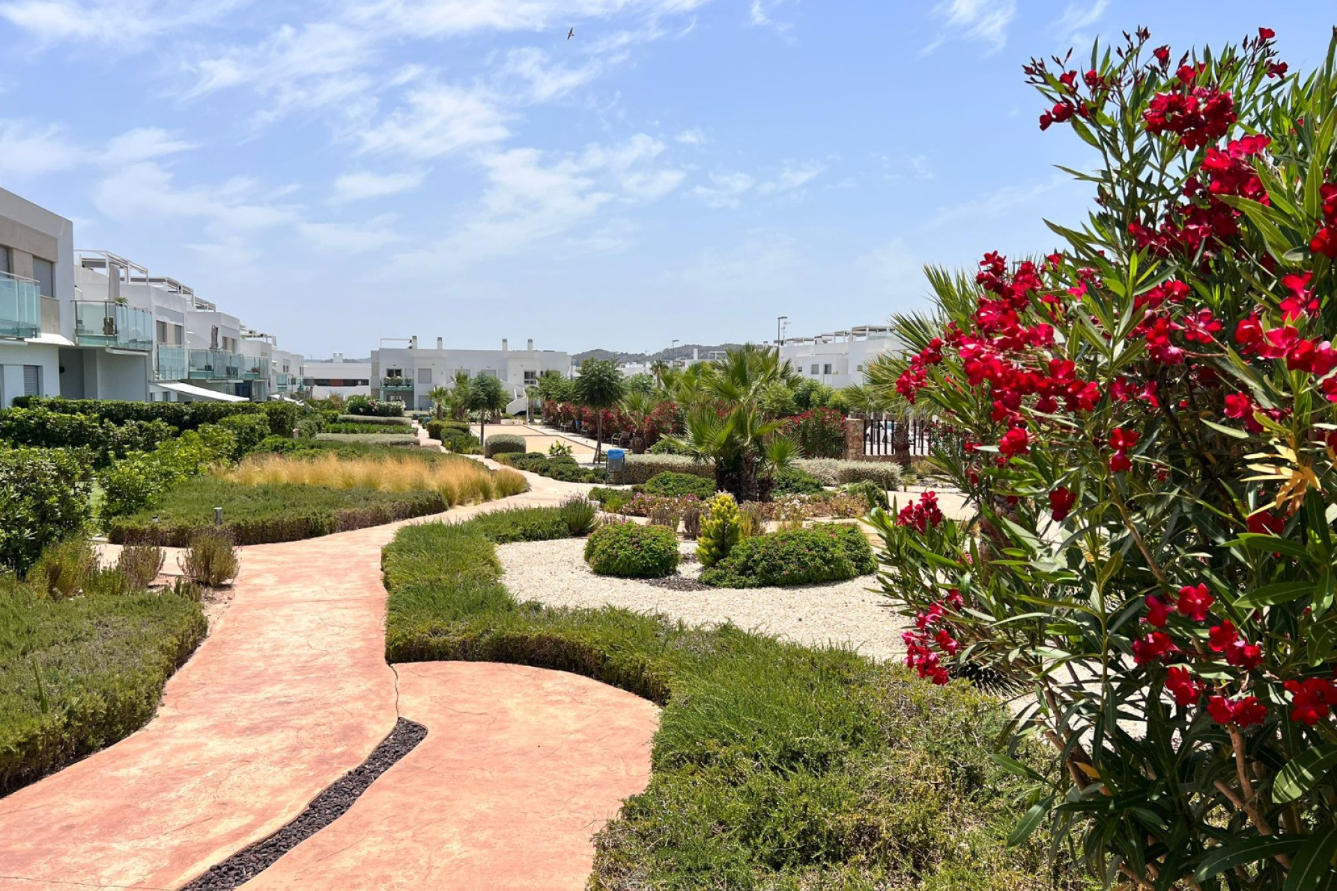 Revente - Appartement - Los Montesinos - Entre Naranjos / Vistabella Golf