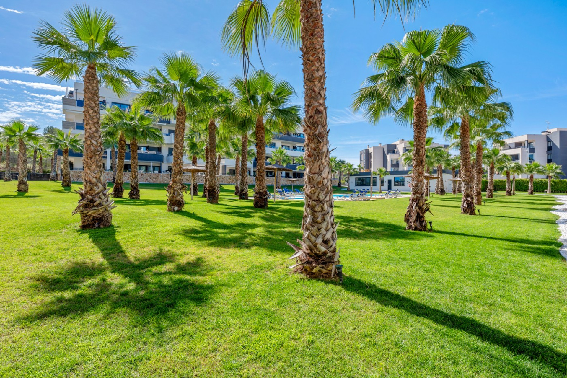 Revente - Appartement - Orihuela Costa - Los Altos