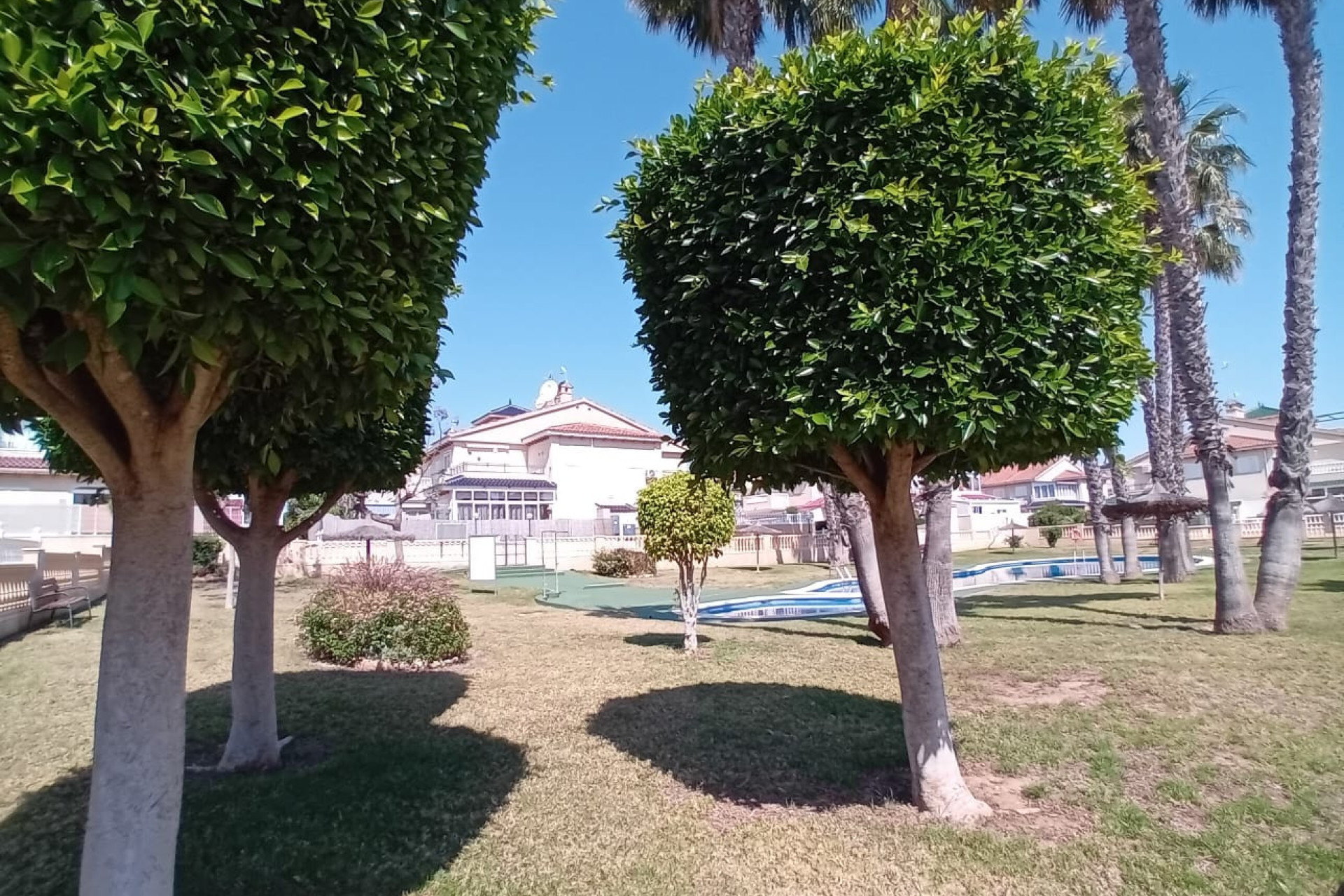 Revente - Appartement - Orihuela Costa - Playa Flamenca