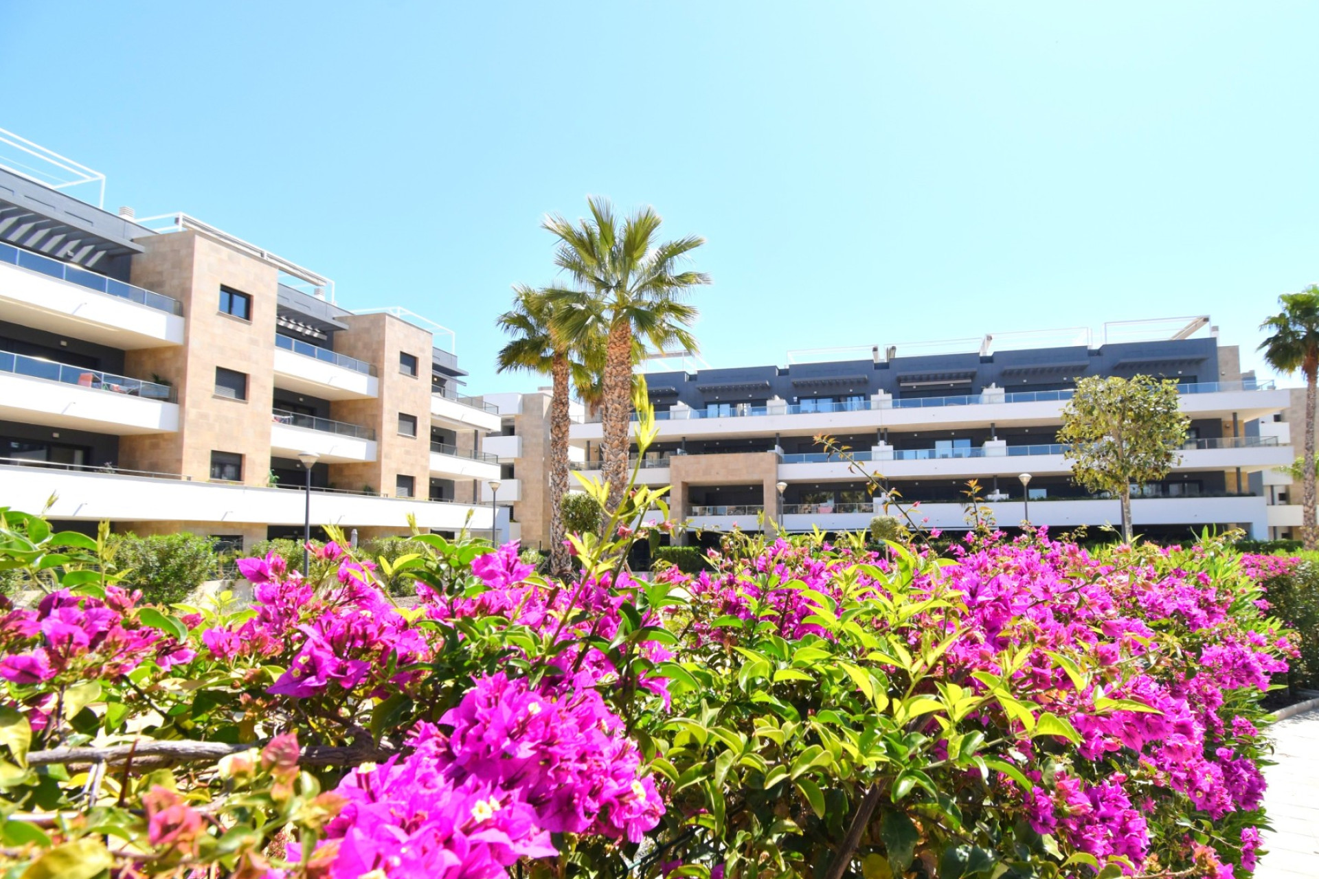 Revente - Appartement - Orihuela Costa - Playa Flamenca
